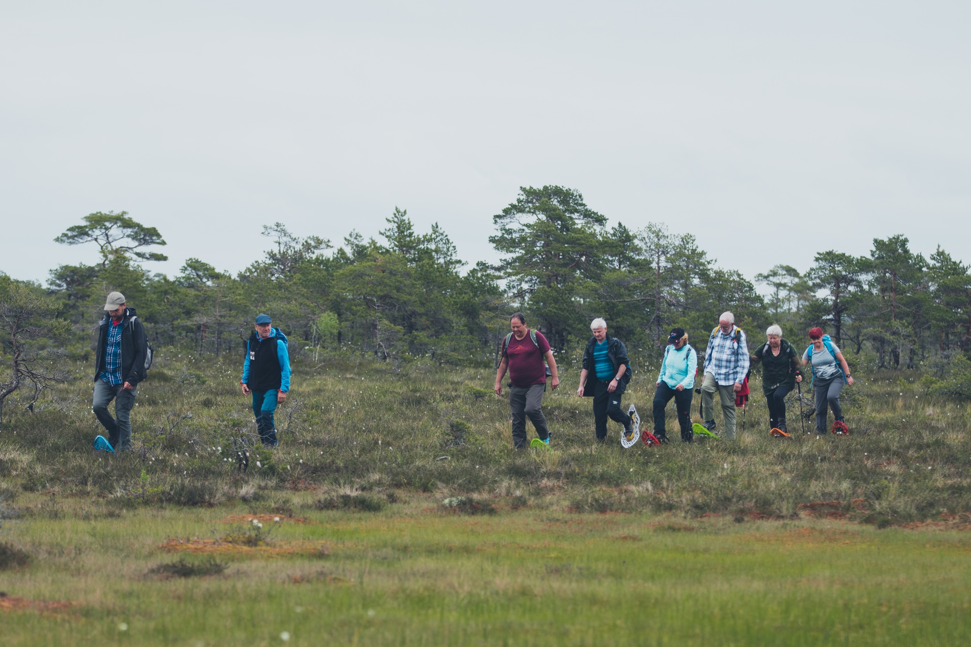A group in bog hiking tour