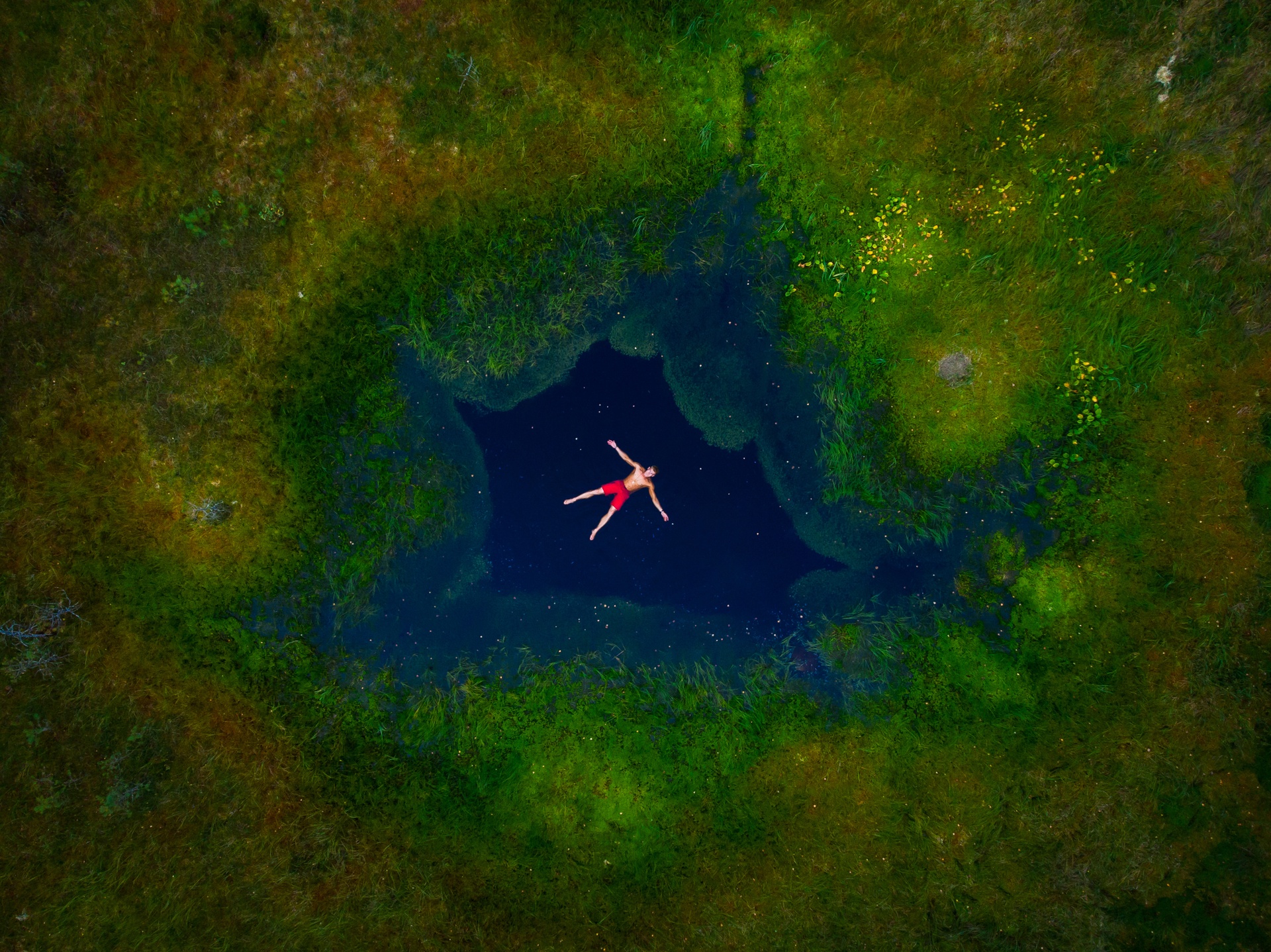 Man swimming in a bog, enjoying Estonian nature