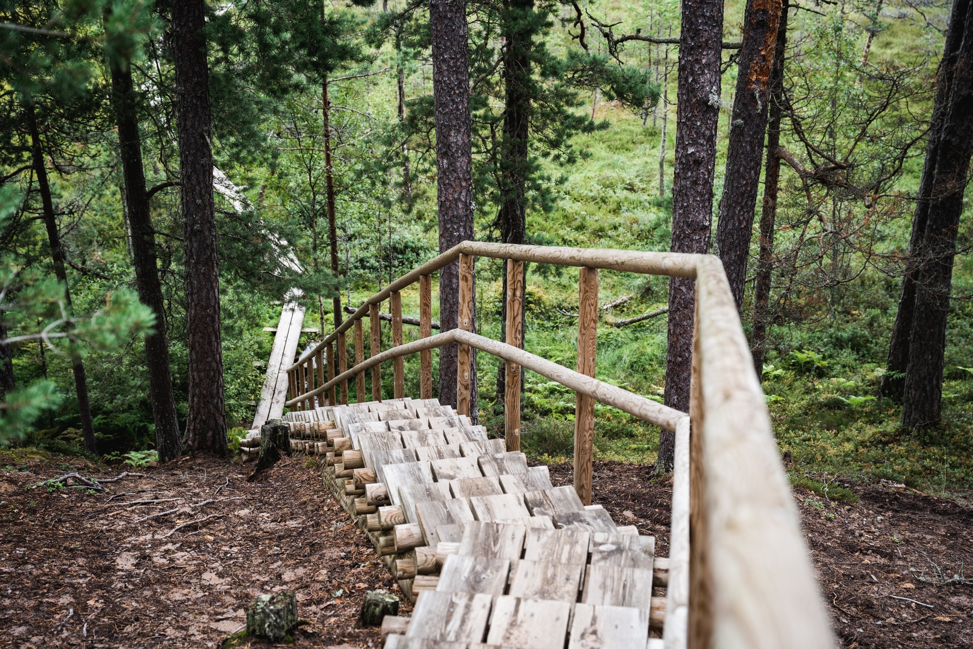 Lahemaa majakivi hiking trail