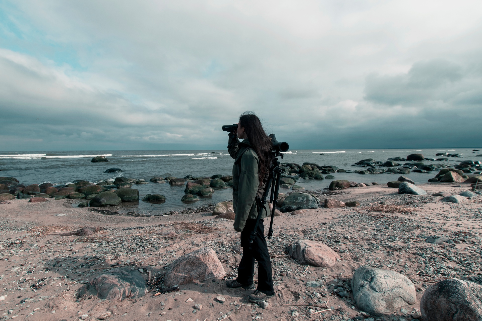 birdwatching in estonia