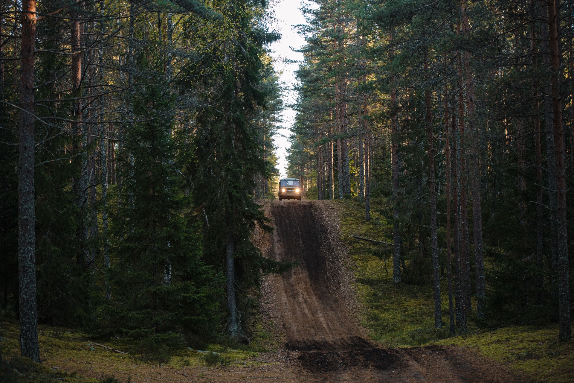 offroad in wilderness