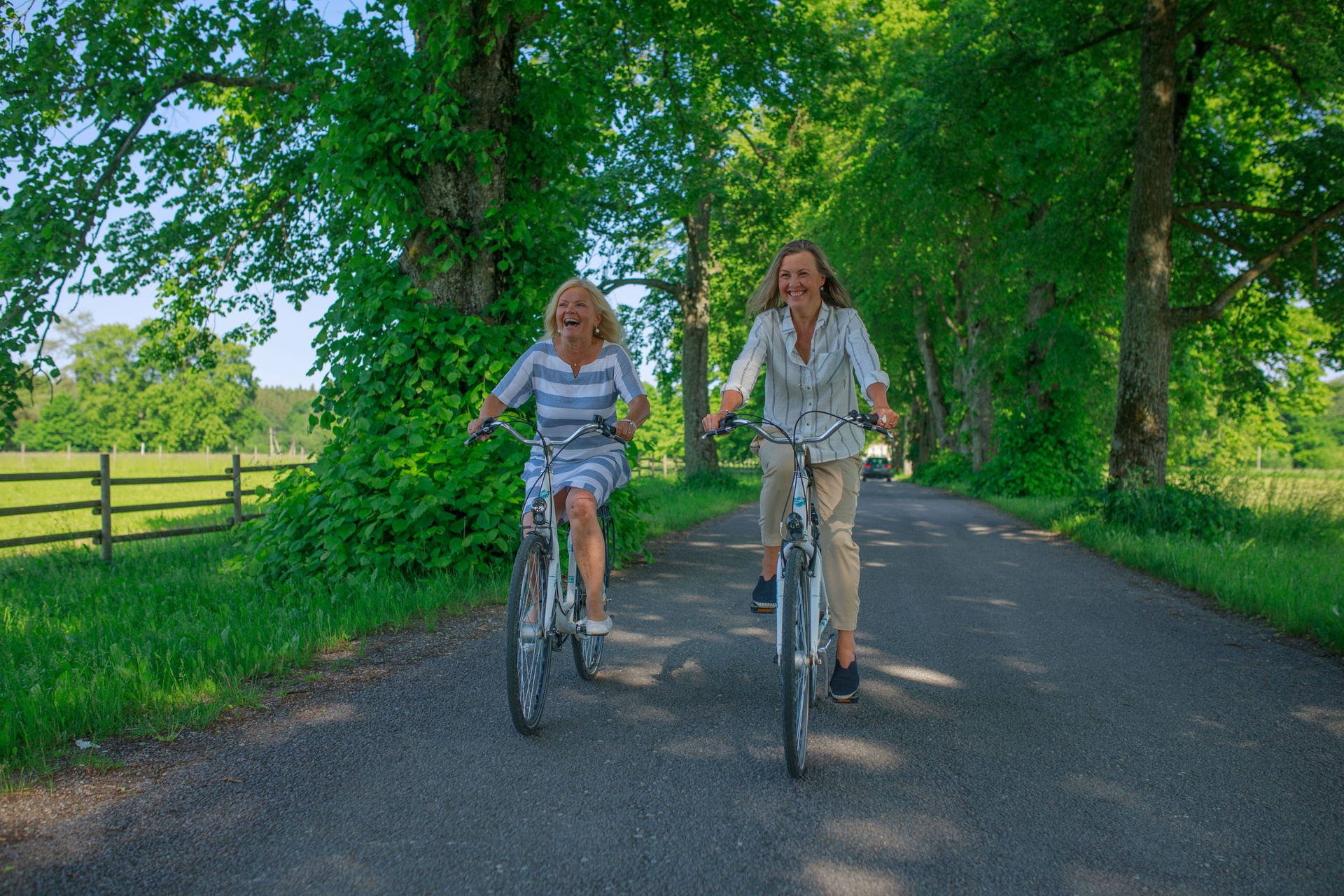 Fahrradfahren in Estland