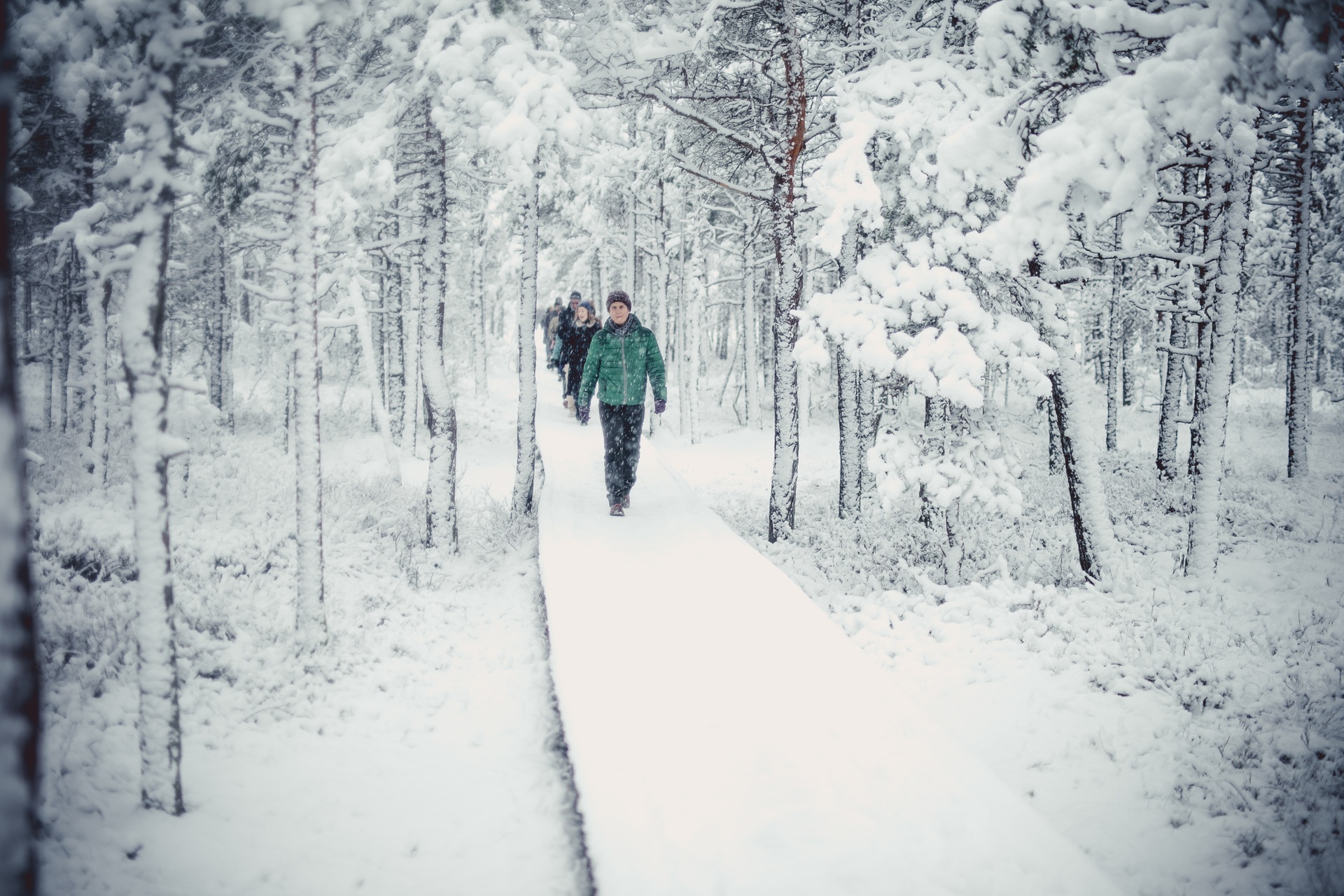 Visit a magical winter wonderland!