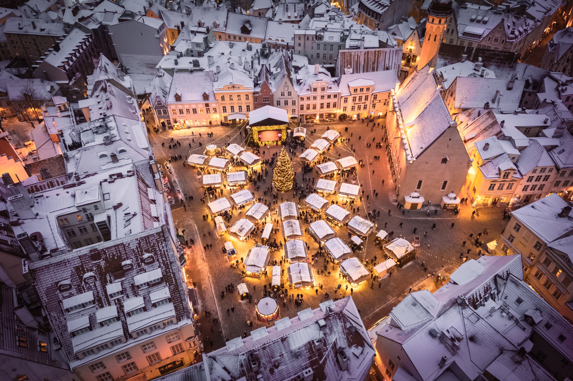 christmas market in tallinn