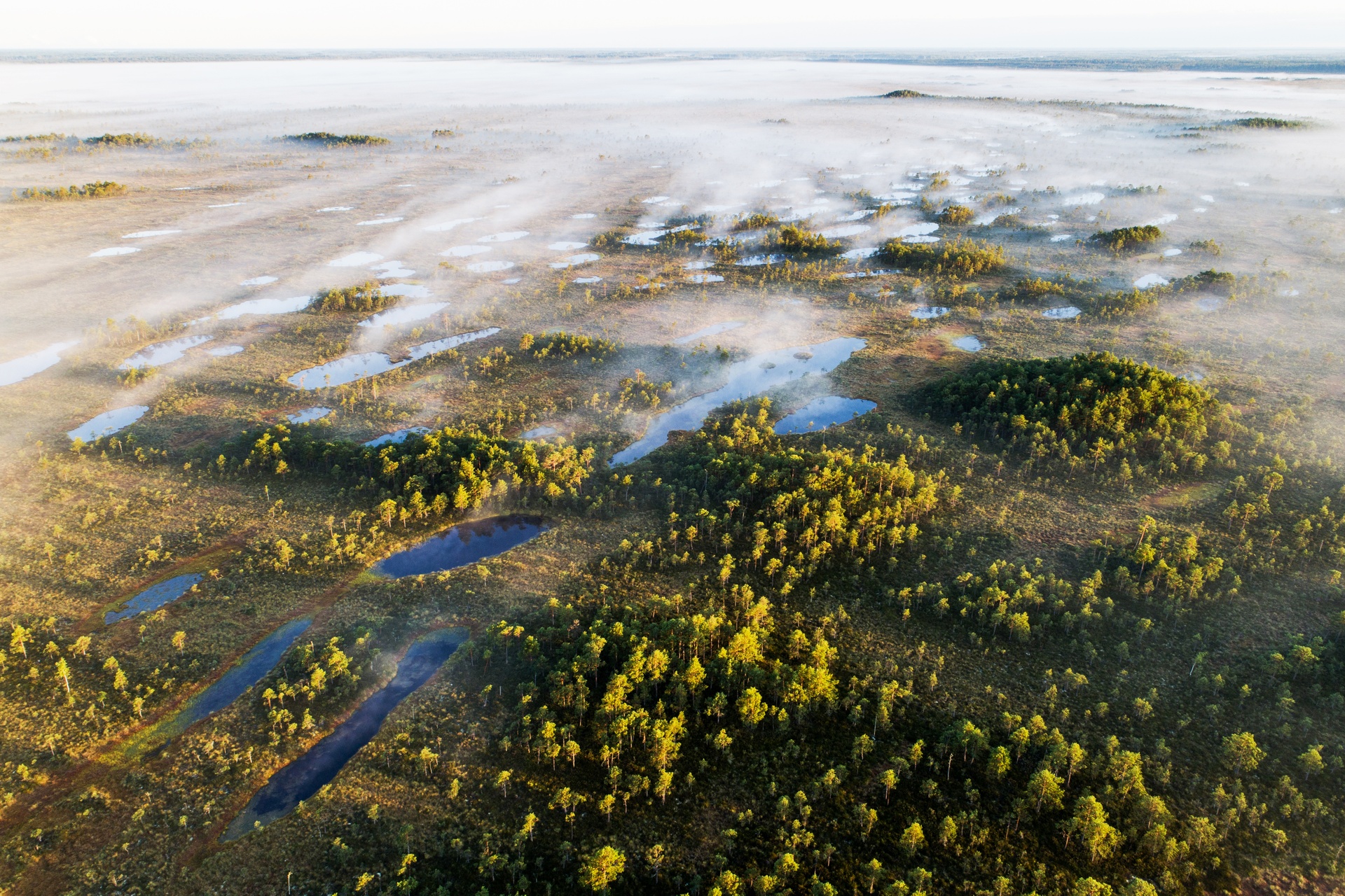 Viron kansallispuistot