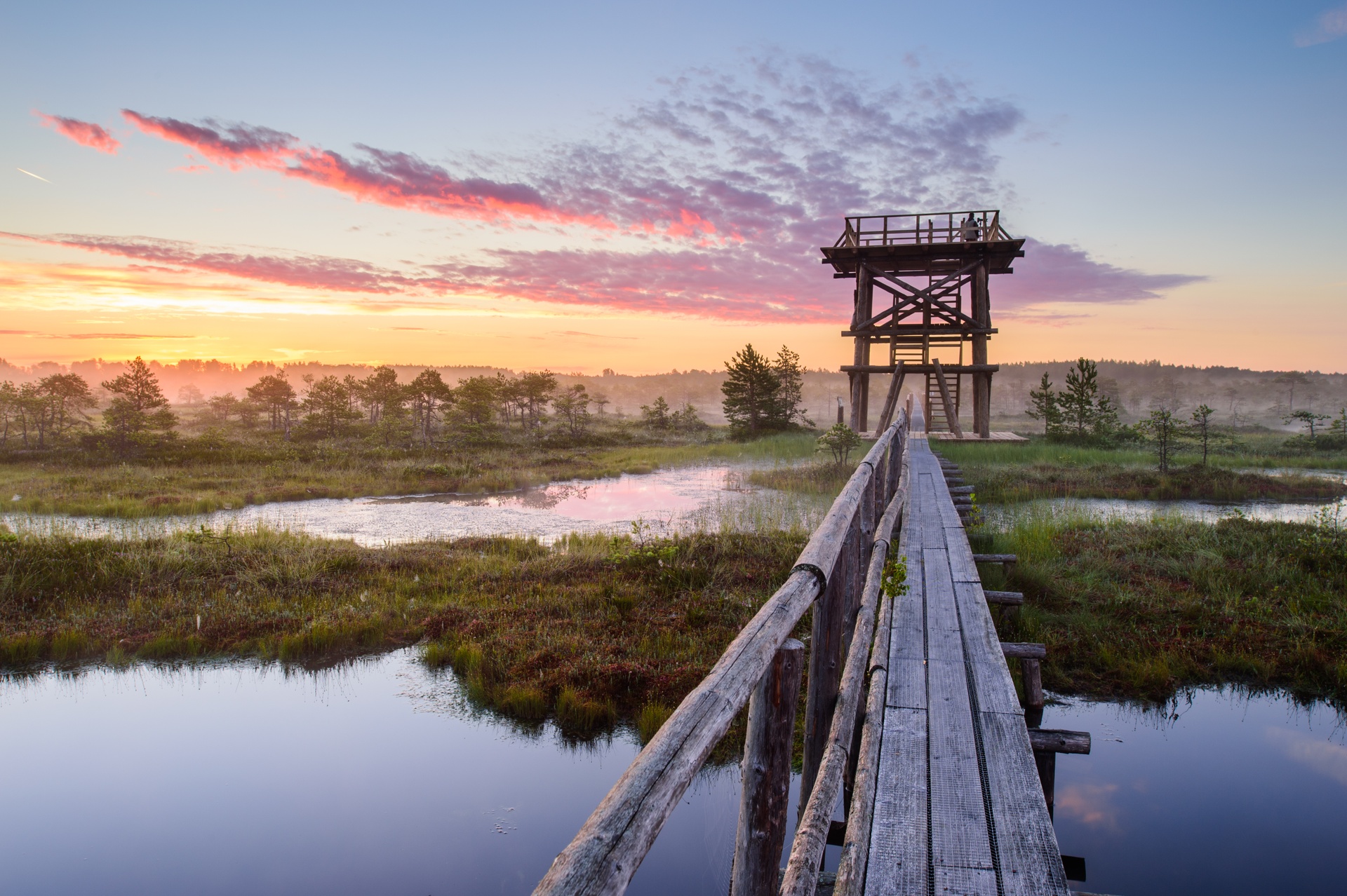 Sunrise over the bog with a wooden boardwalk and tower.