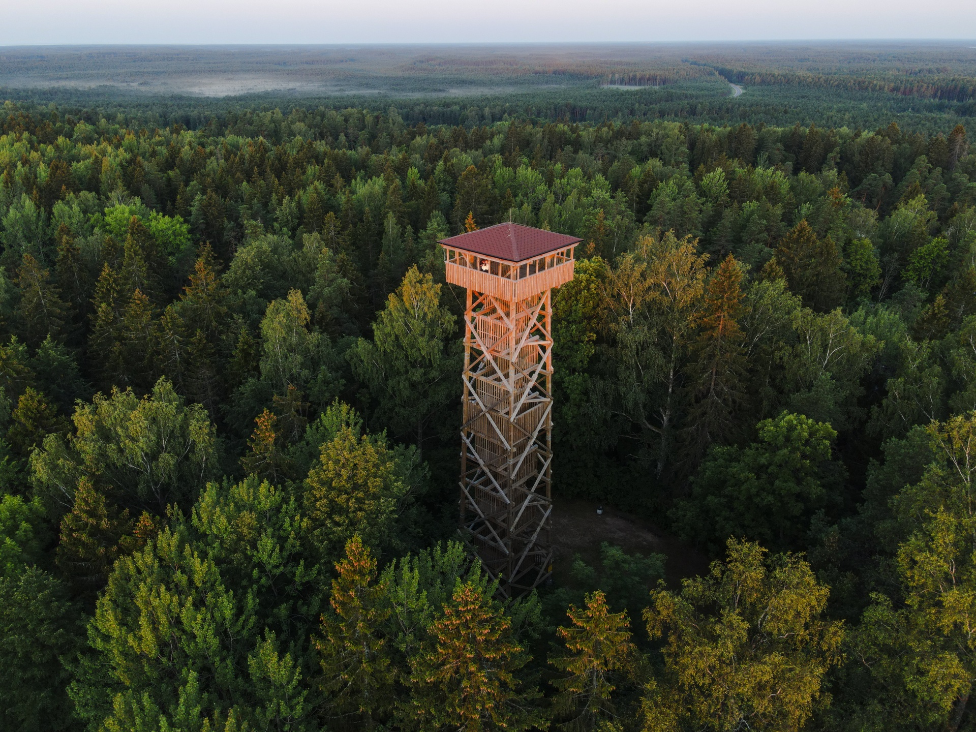 Green forest and Iisaku Observation Tower in Ida-Viru County