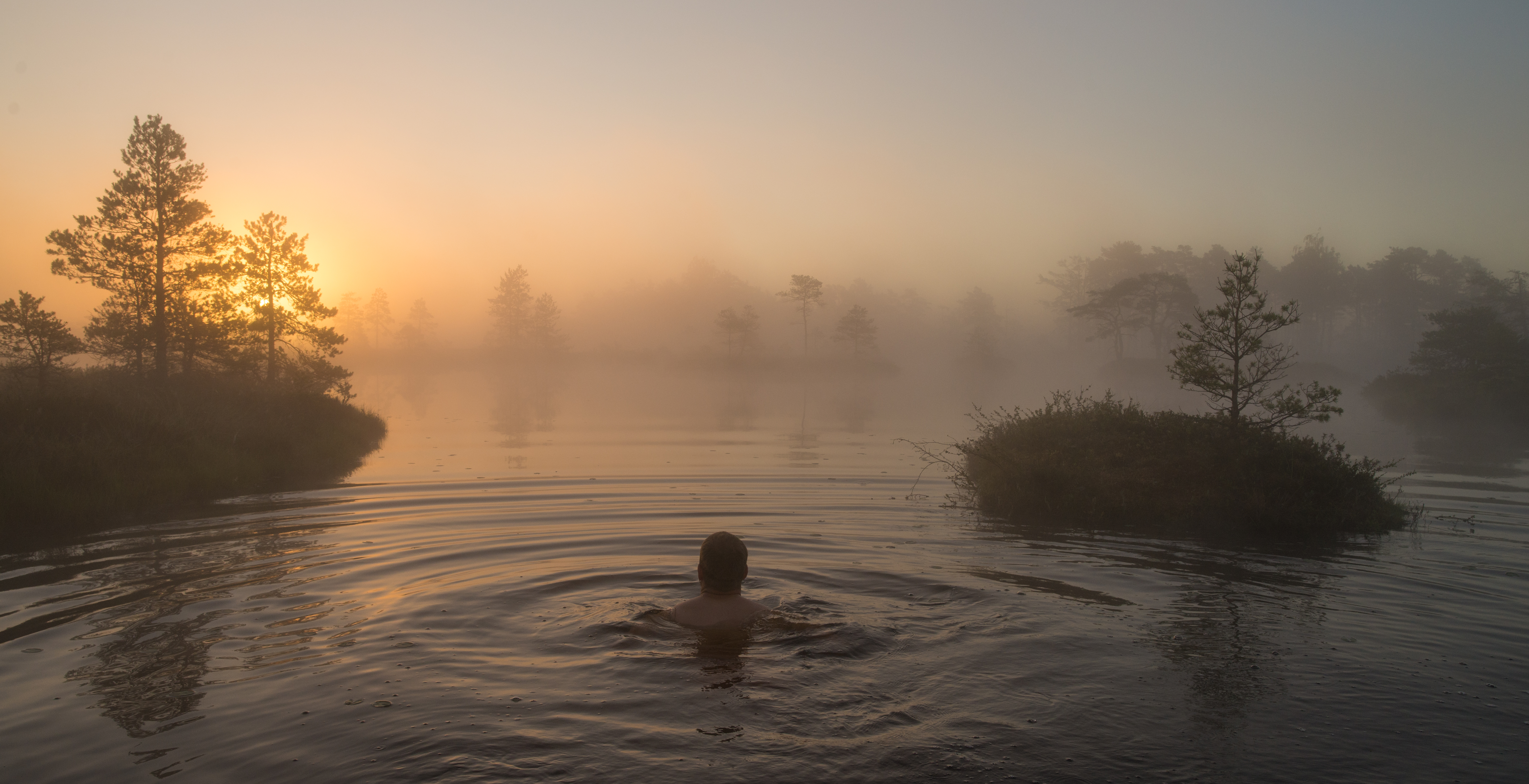 man swimming in a bog lake in the early morning