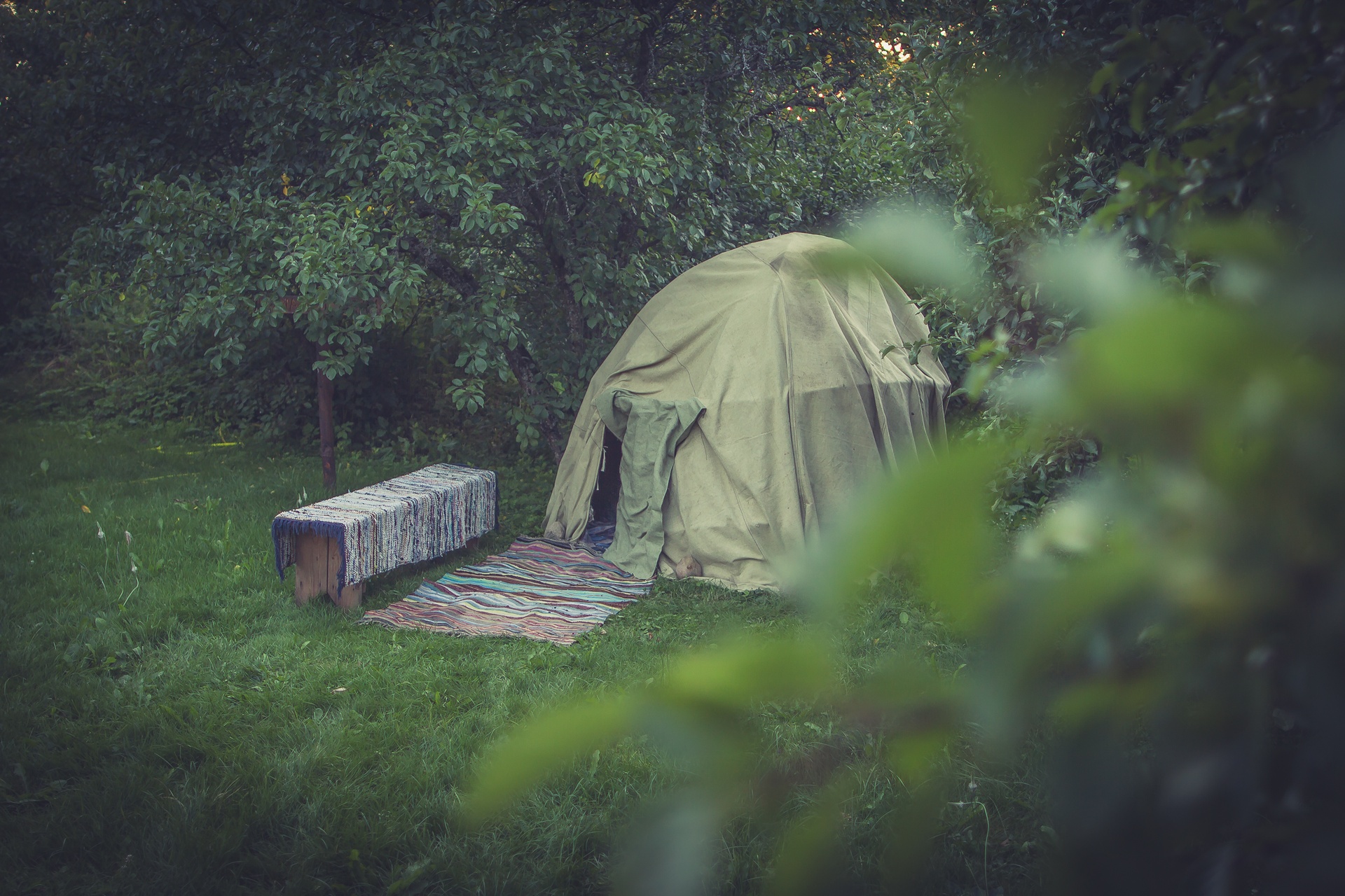 Tent set up amidst summertime greenery in South Estonia
