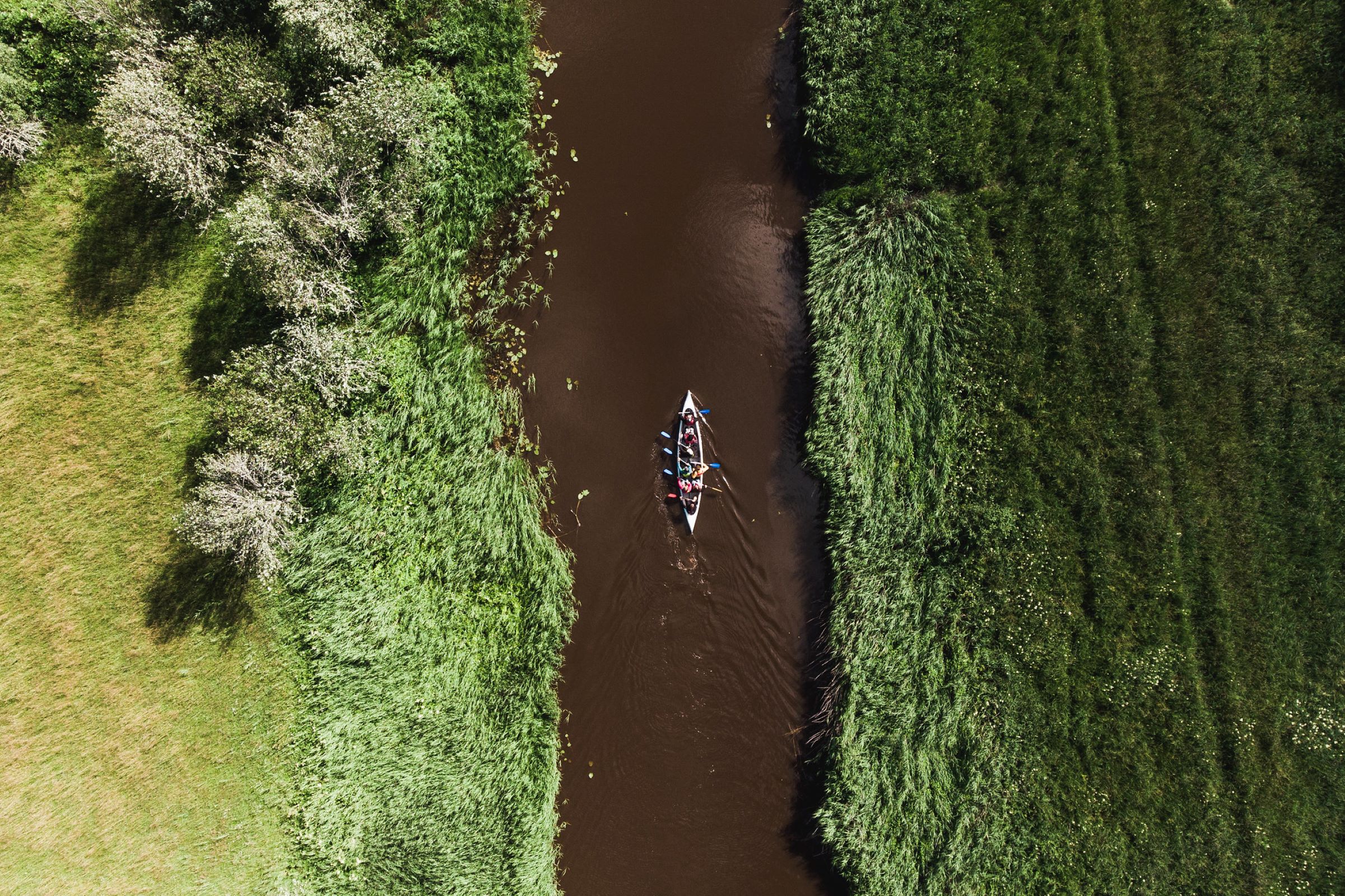 kayaking in matsalu