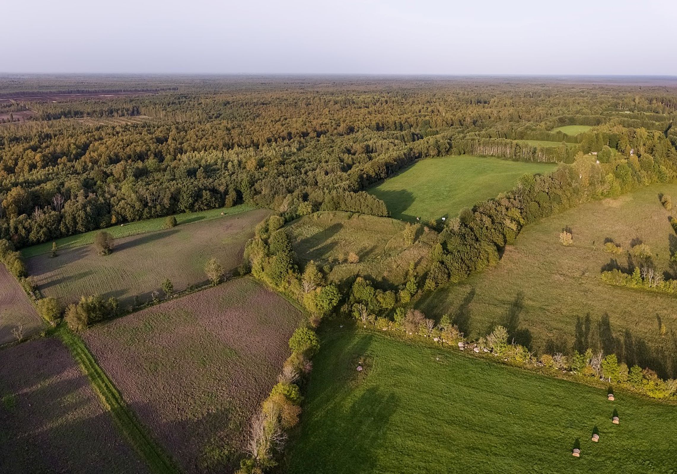 Matsalu rahvuspark