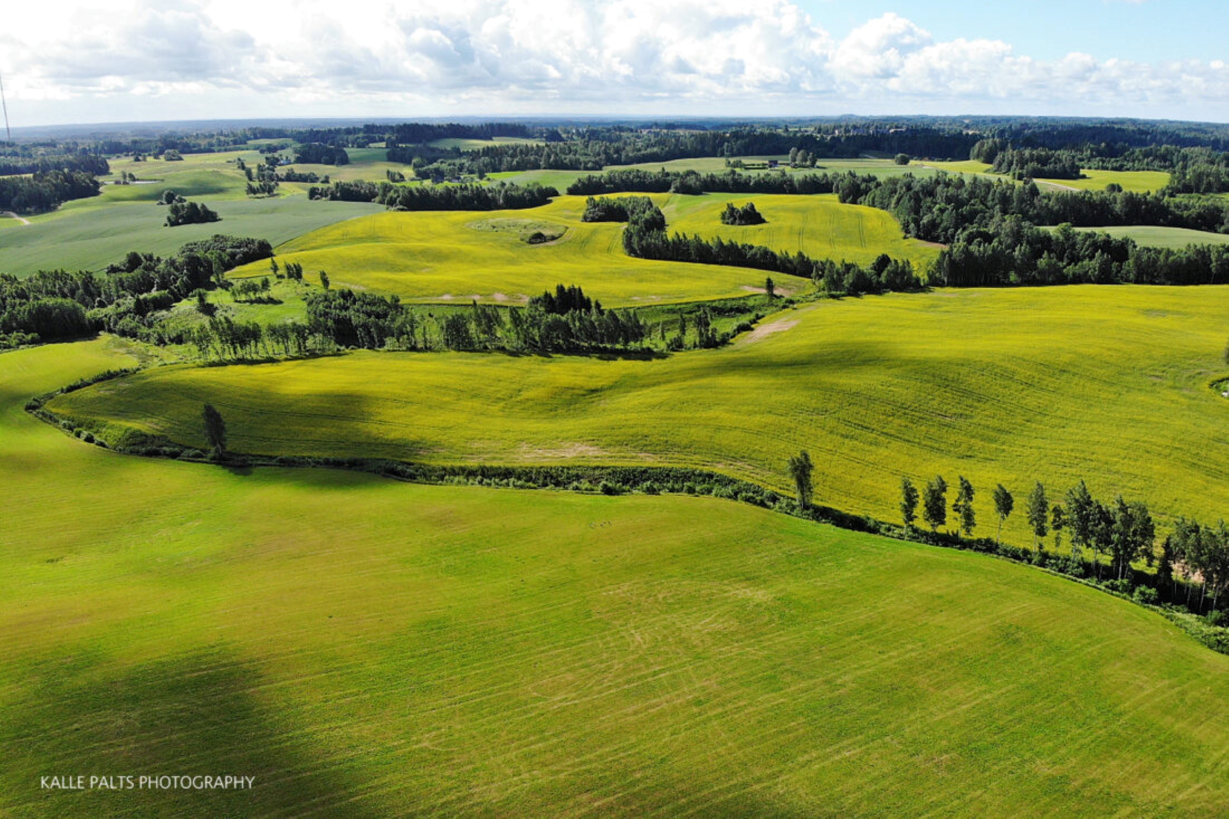 Lõun-Eesti kuppelmaastik