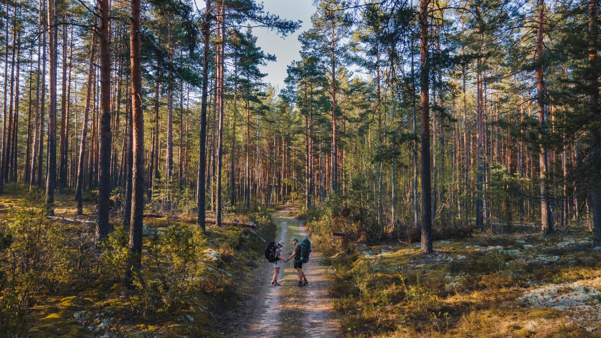Hikers in the forest 