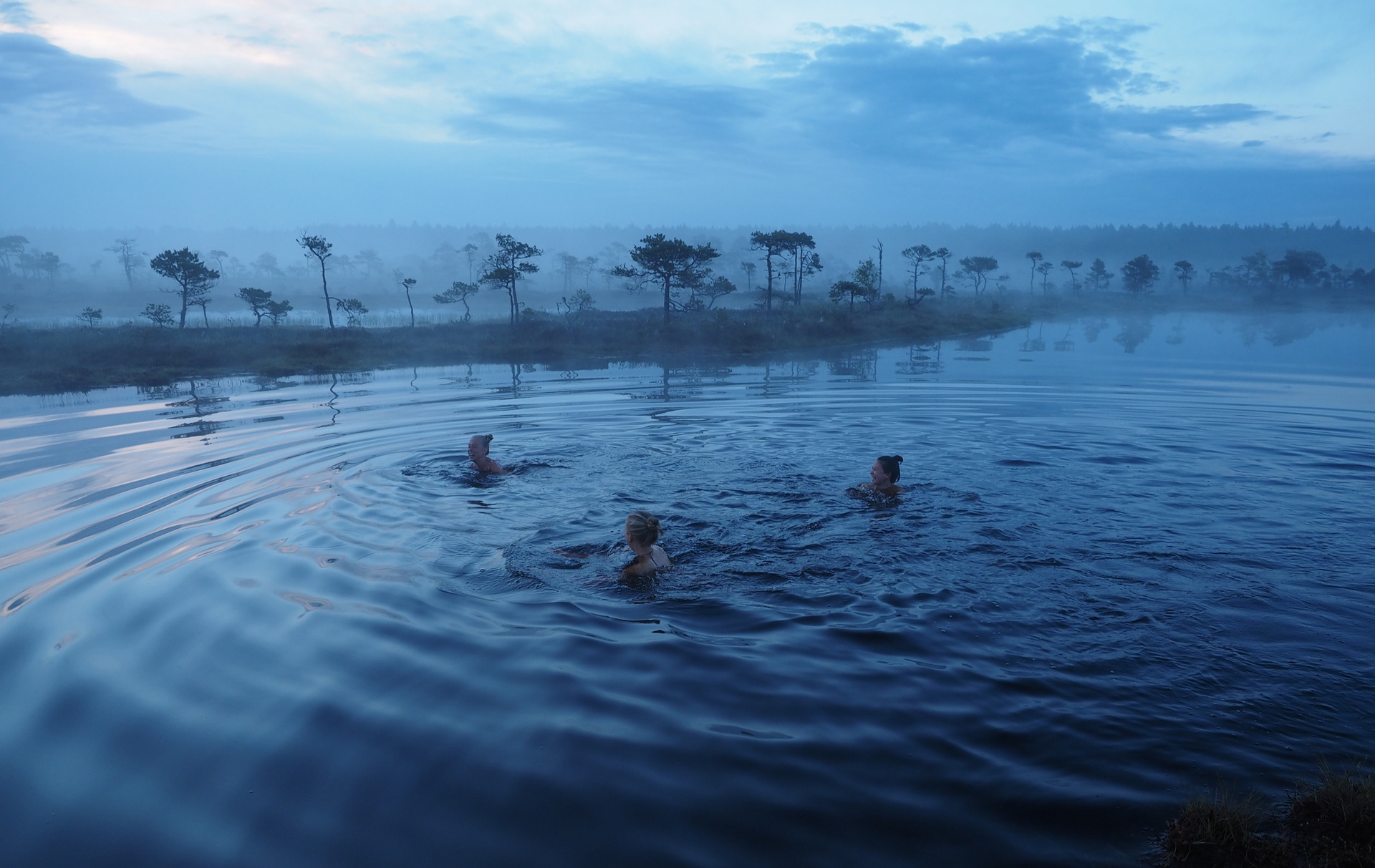 People swimming in the bog