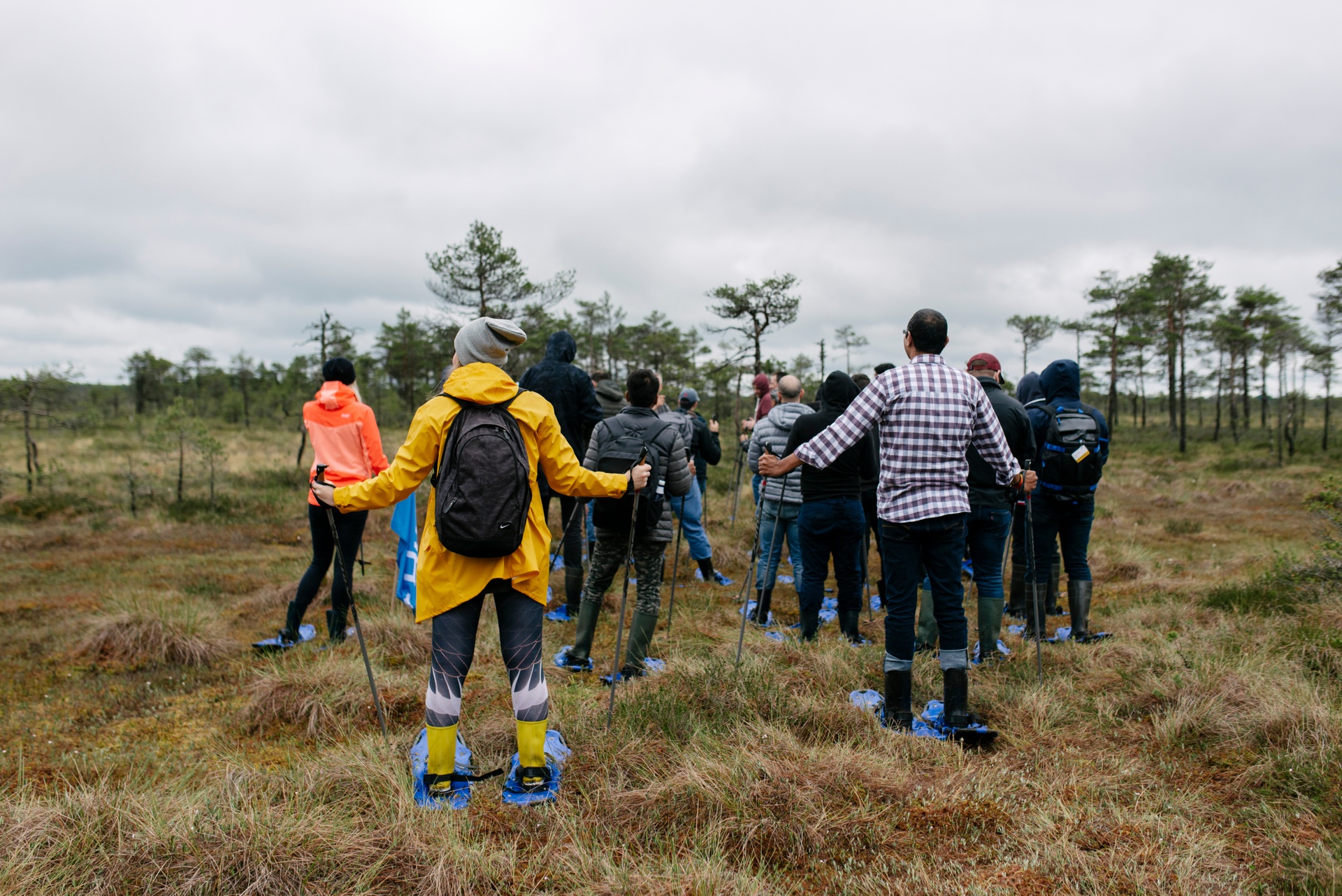 Loosalu bog in Raplamaa, Estonia