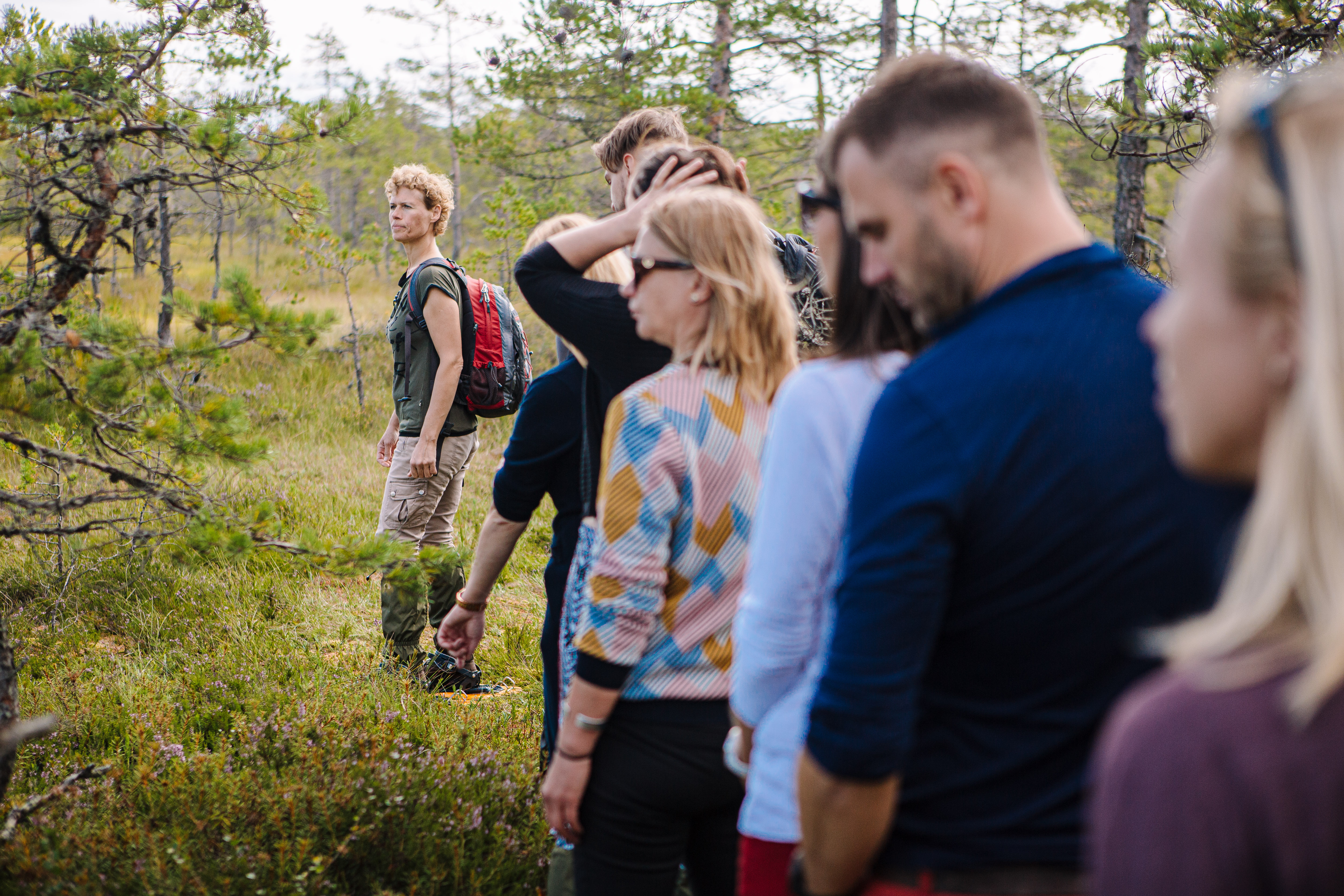 A guided tour in Estonian wetland