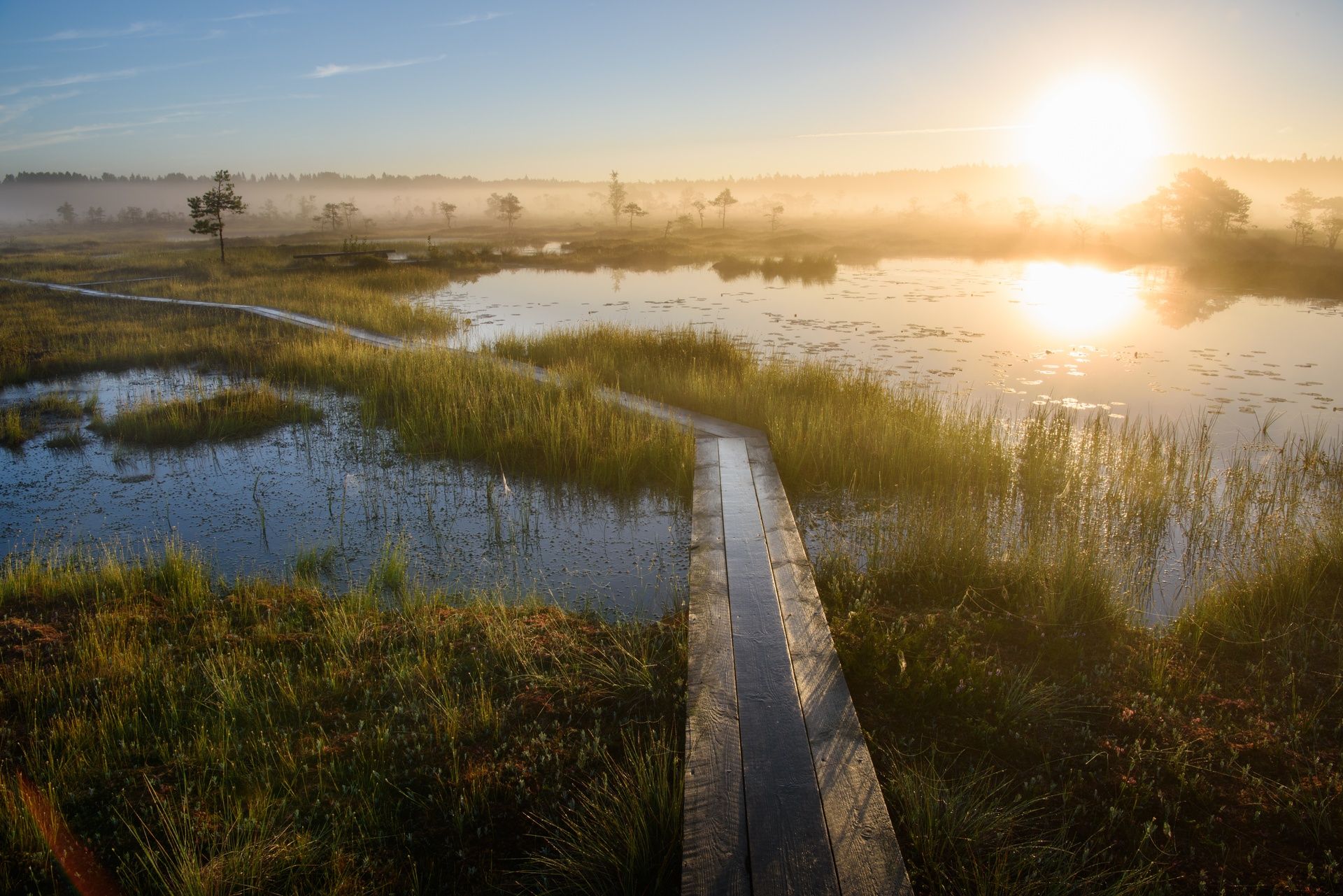 Der Nationalpark Soomaa in Estland