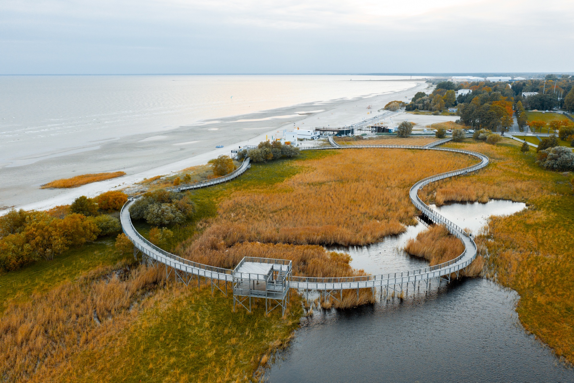 Pärnu coastal meadow trail near beach in autumn