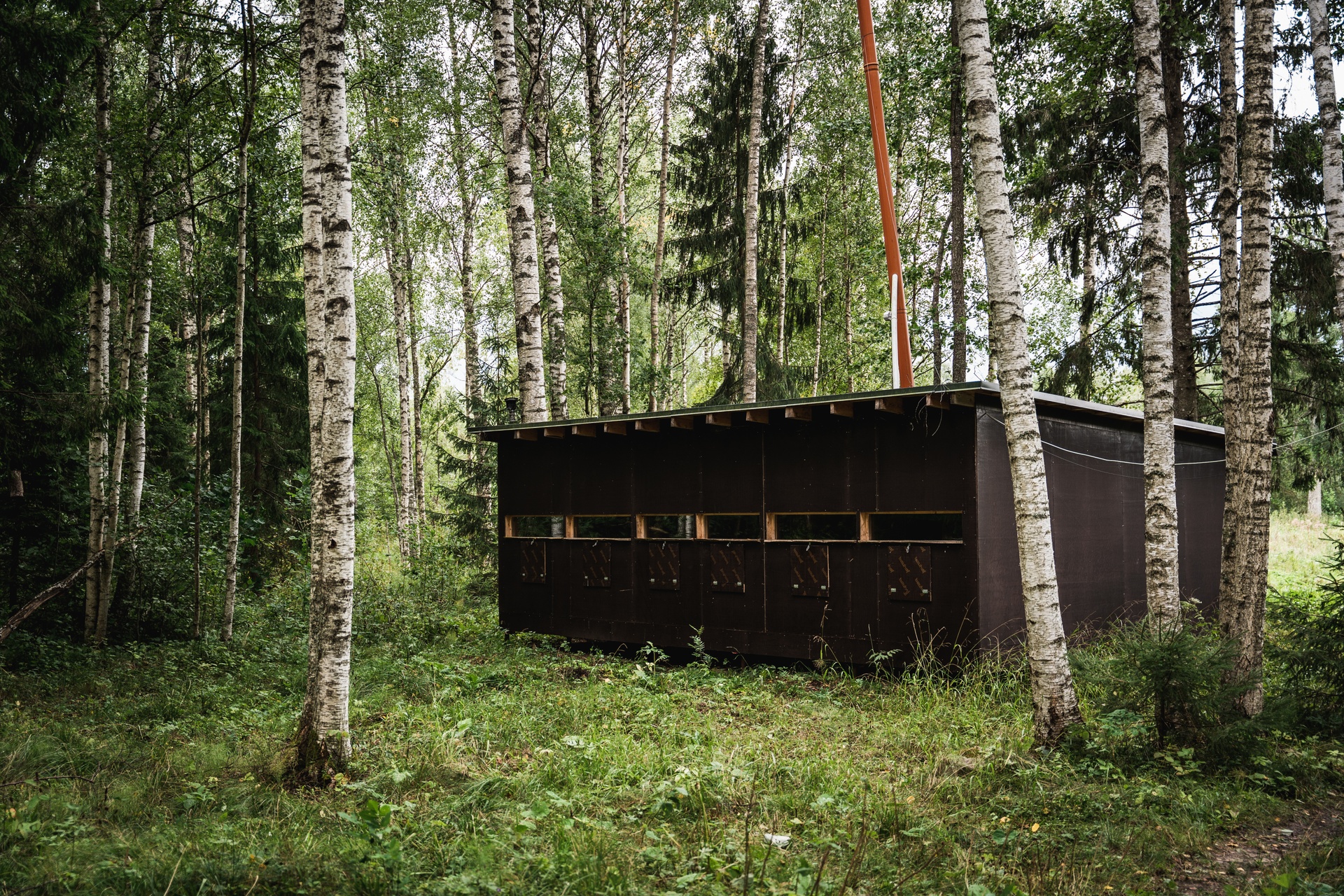 Bear-watching hide in Estonia