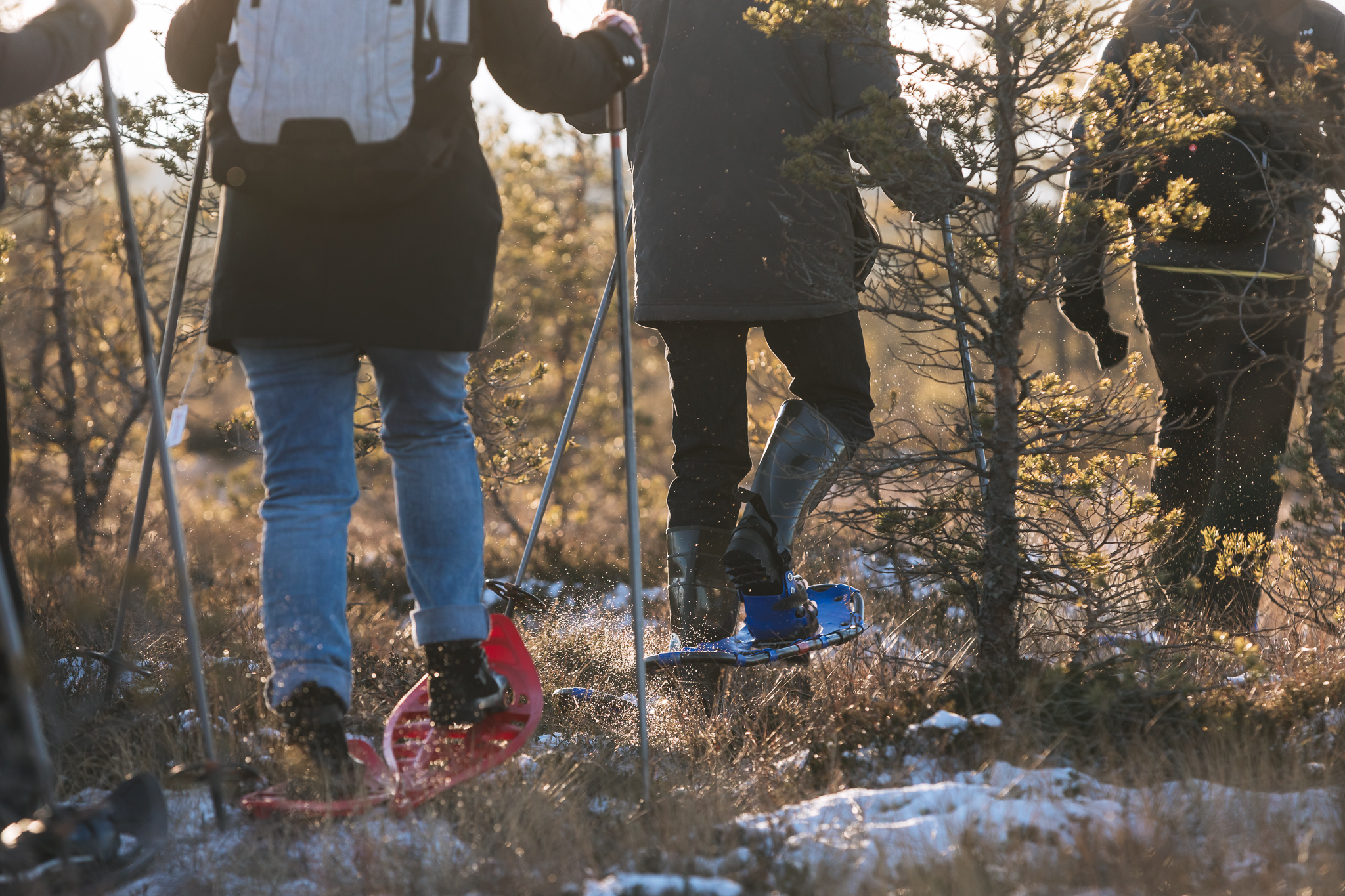 People in a wetland