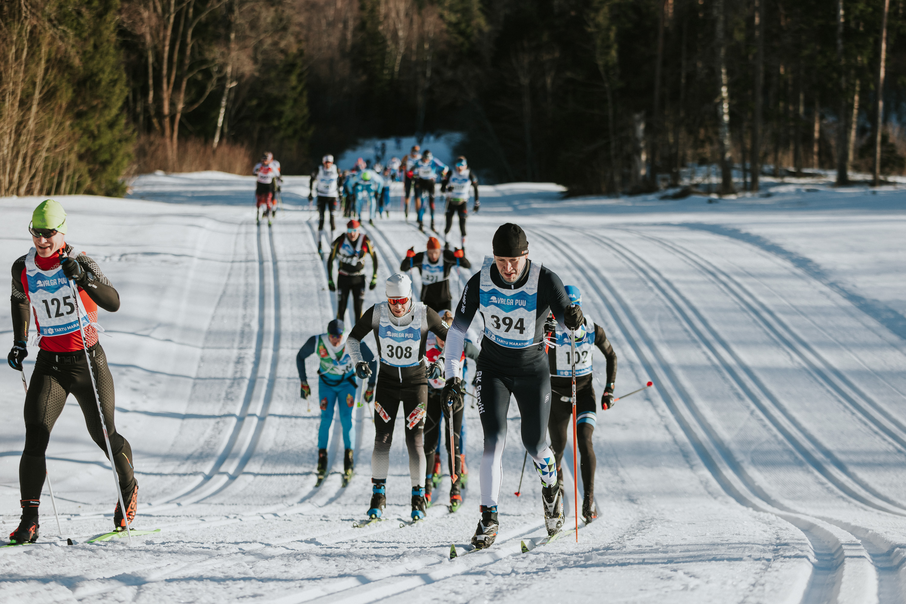 Skiers at the Tartu Marathon in February 2024