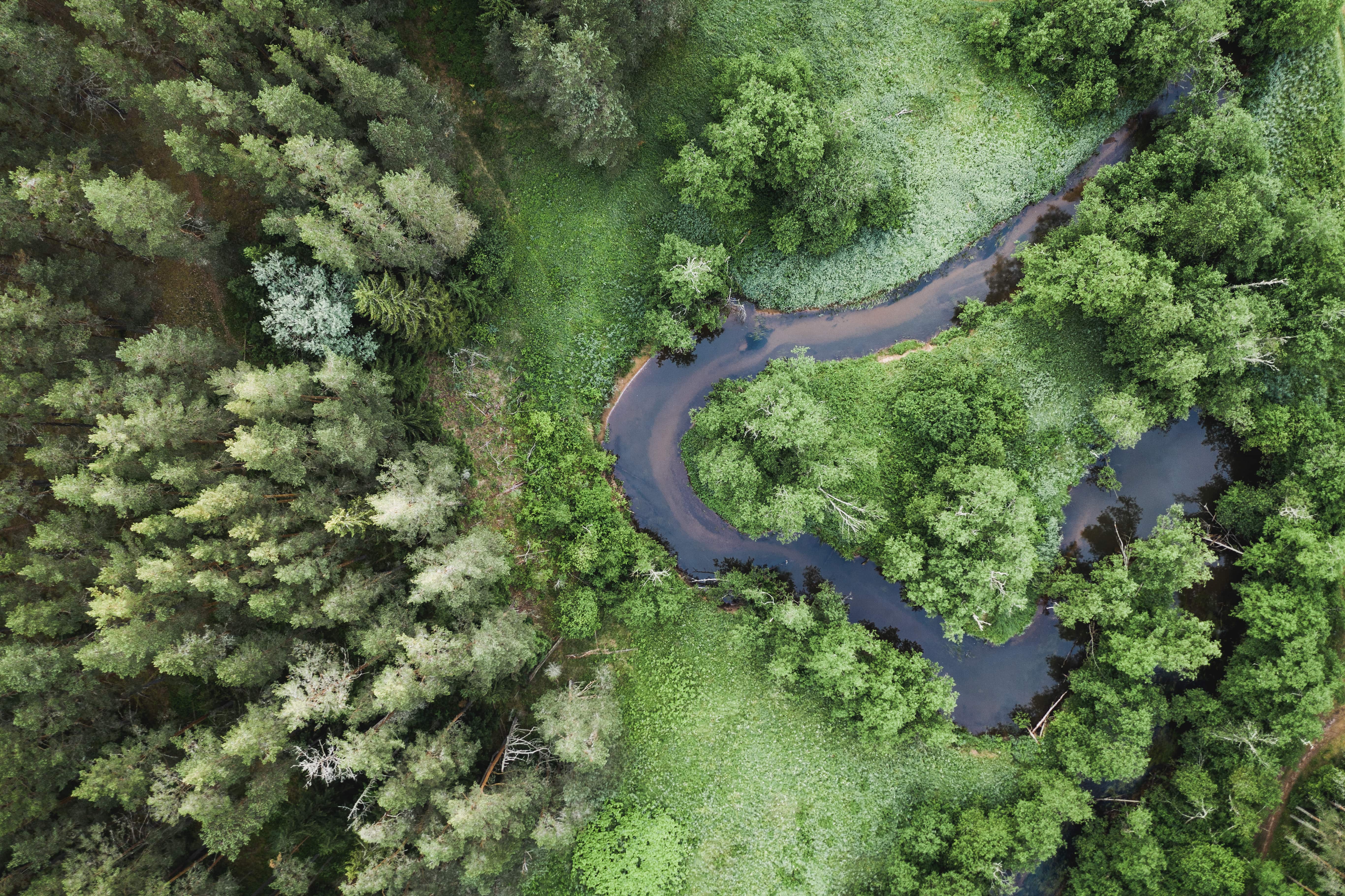 River in South Estonia and the Baltic Forest Trail