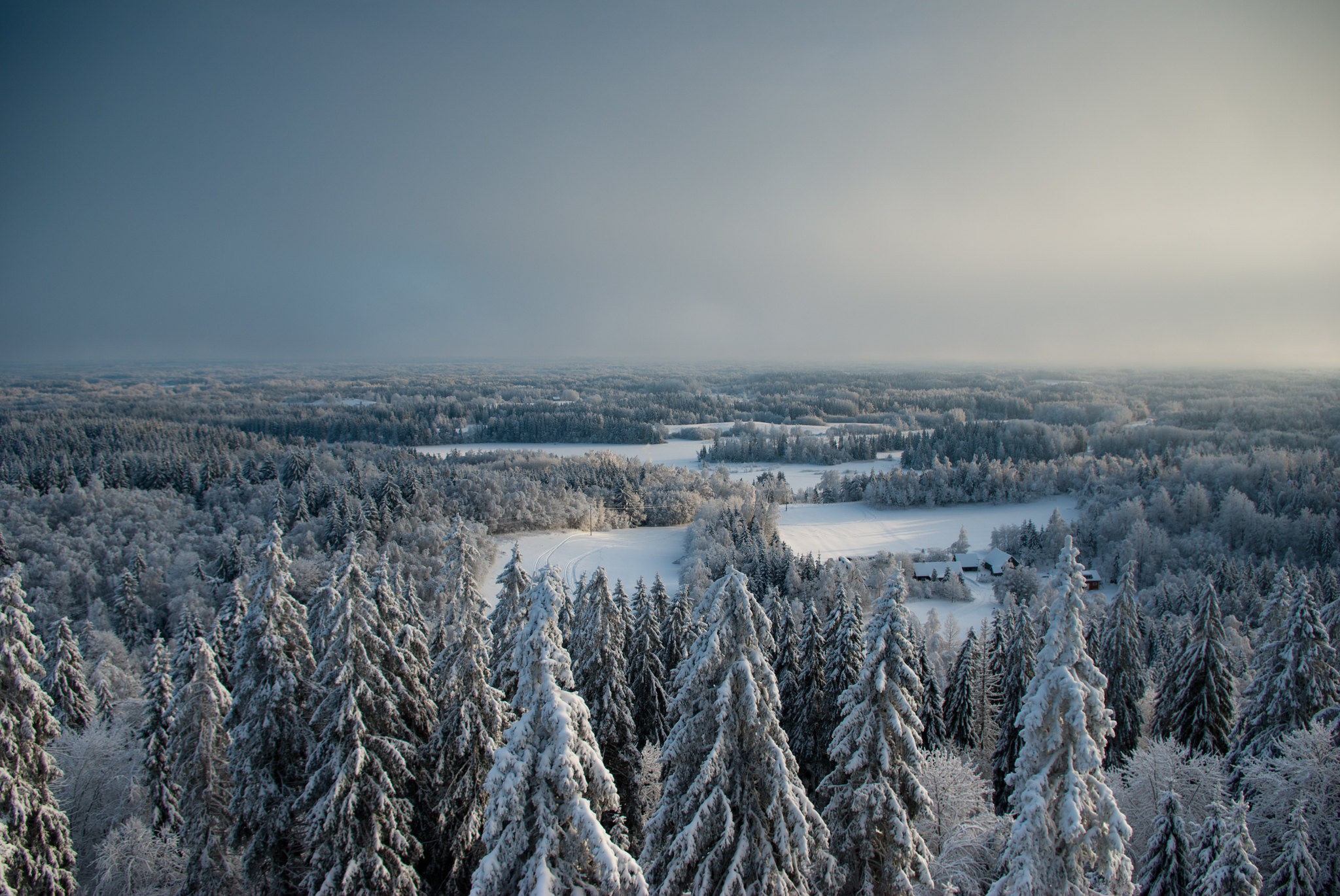 View in winter from Suur Munamägi Estonia's highest point