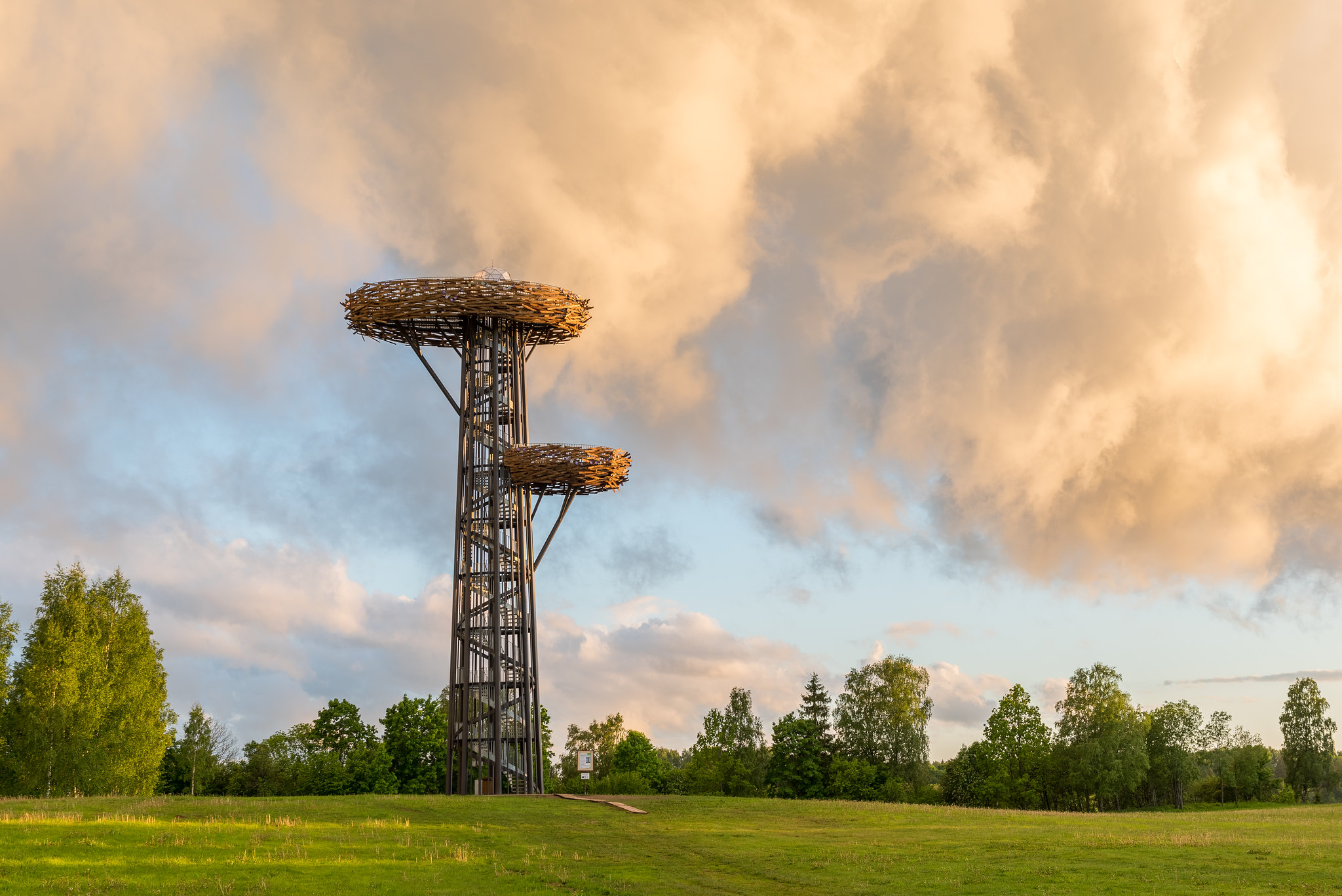 Rõuge observation tower pesapuu in South Estonia