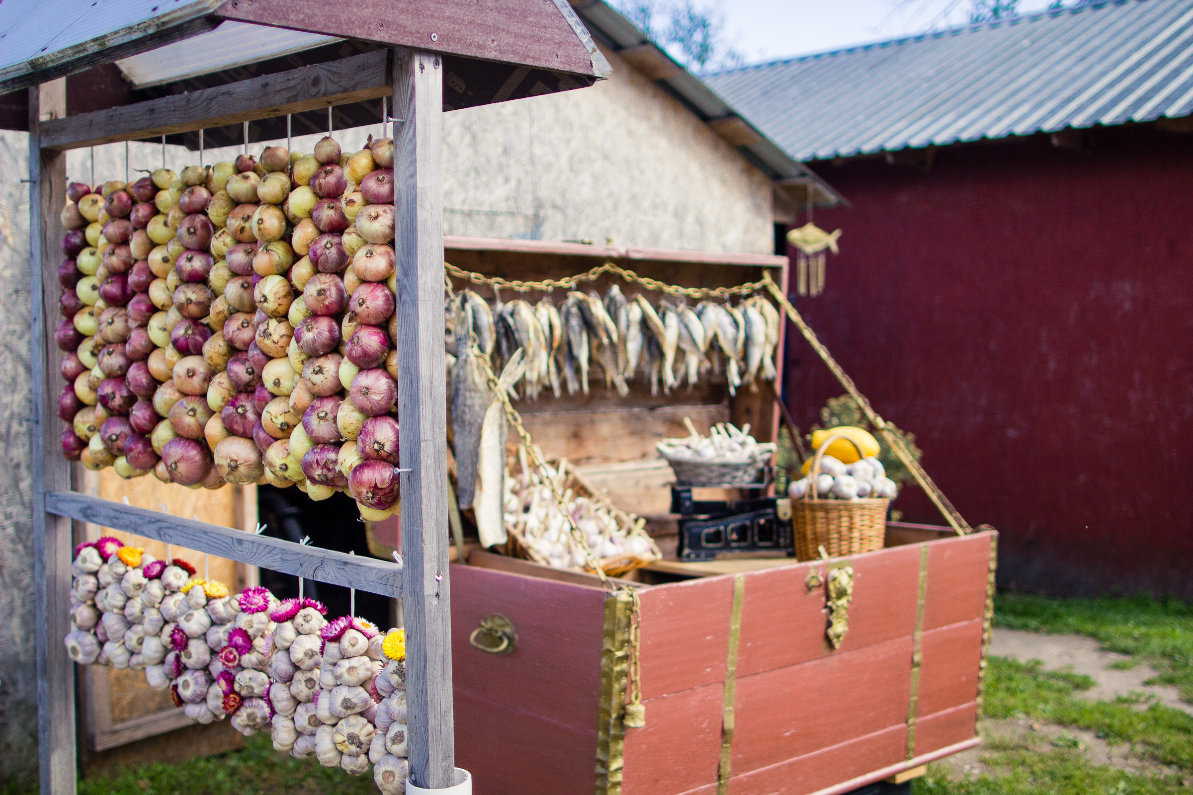 Strings of onions and dried fish in Old Believer community