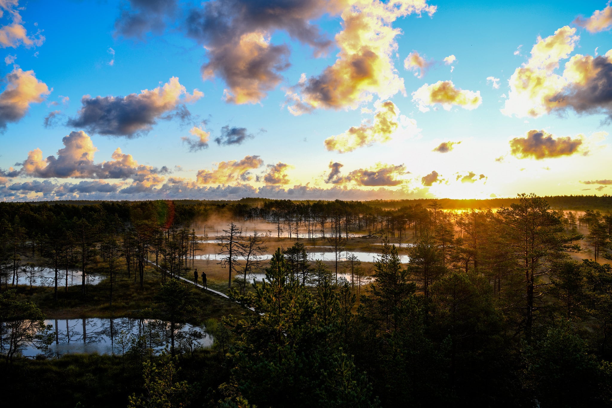 Viru Bog at sunrise 