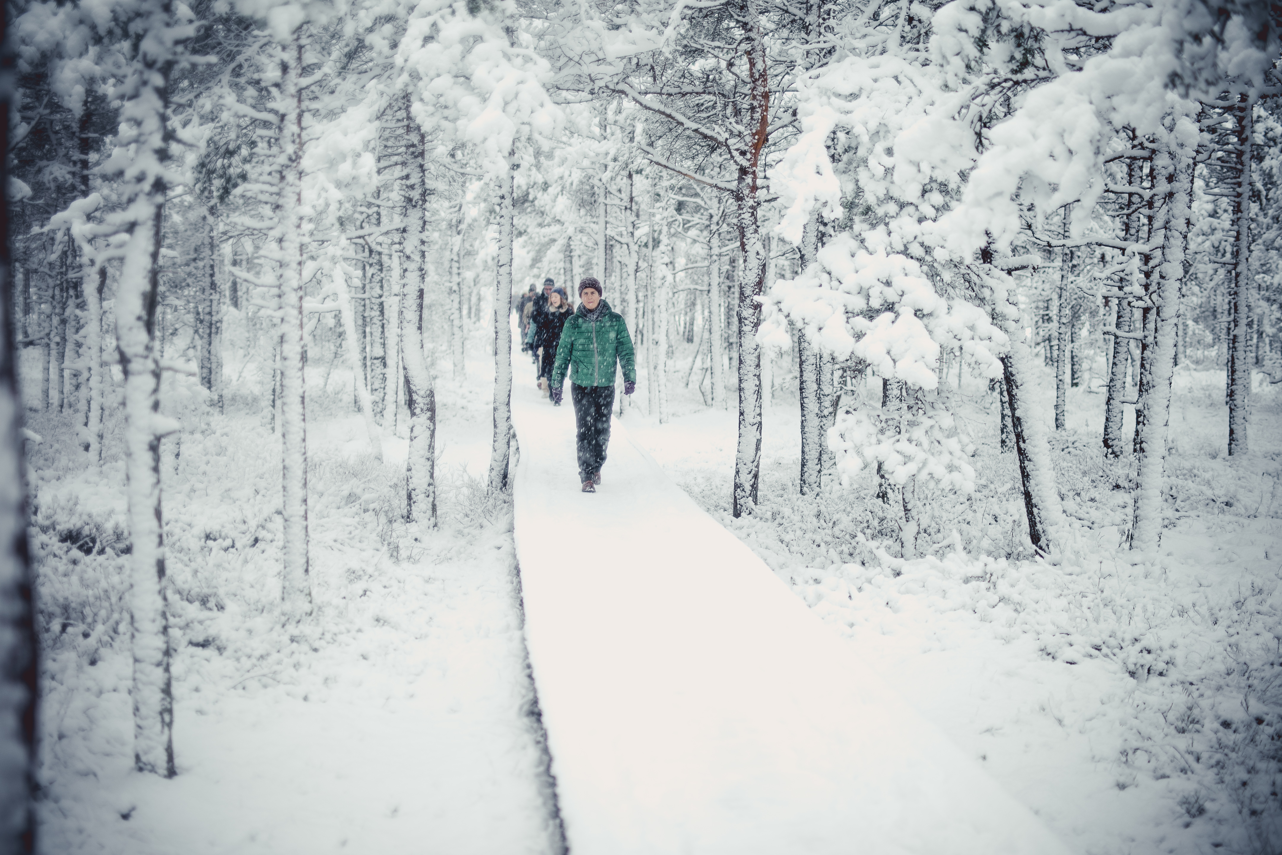 Hikers on boardwalk in winter snow in Viru Bog