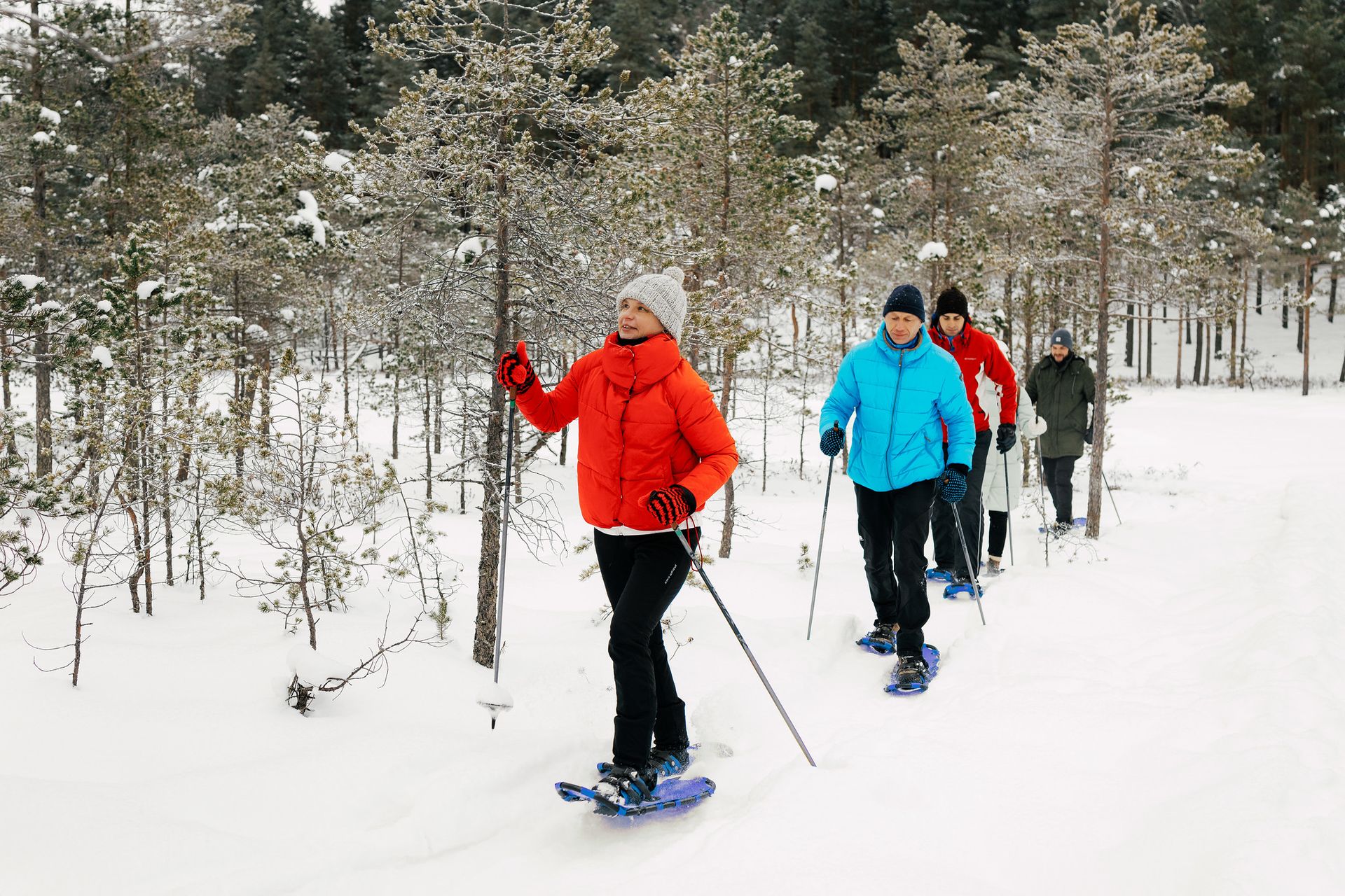 Schneeschuhwanderung durch Estlands Moore