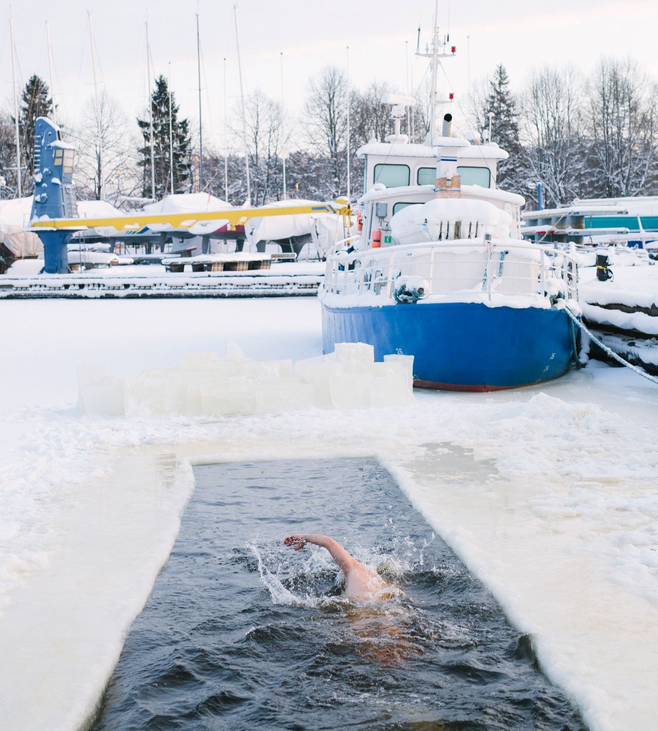 Winterschwimmen stärkt Geist und Körper.