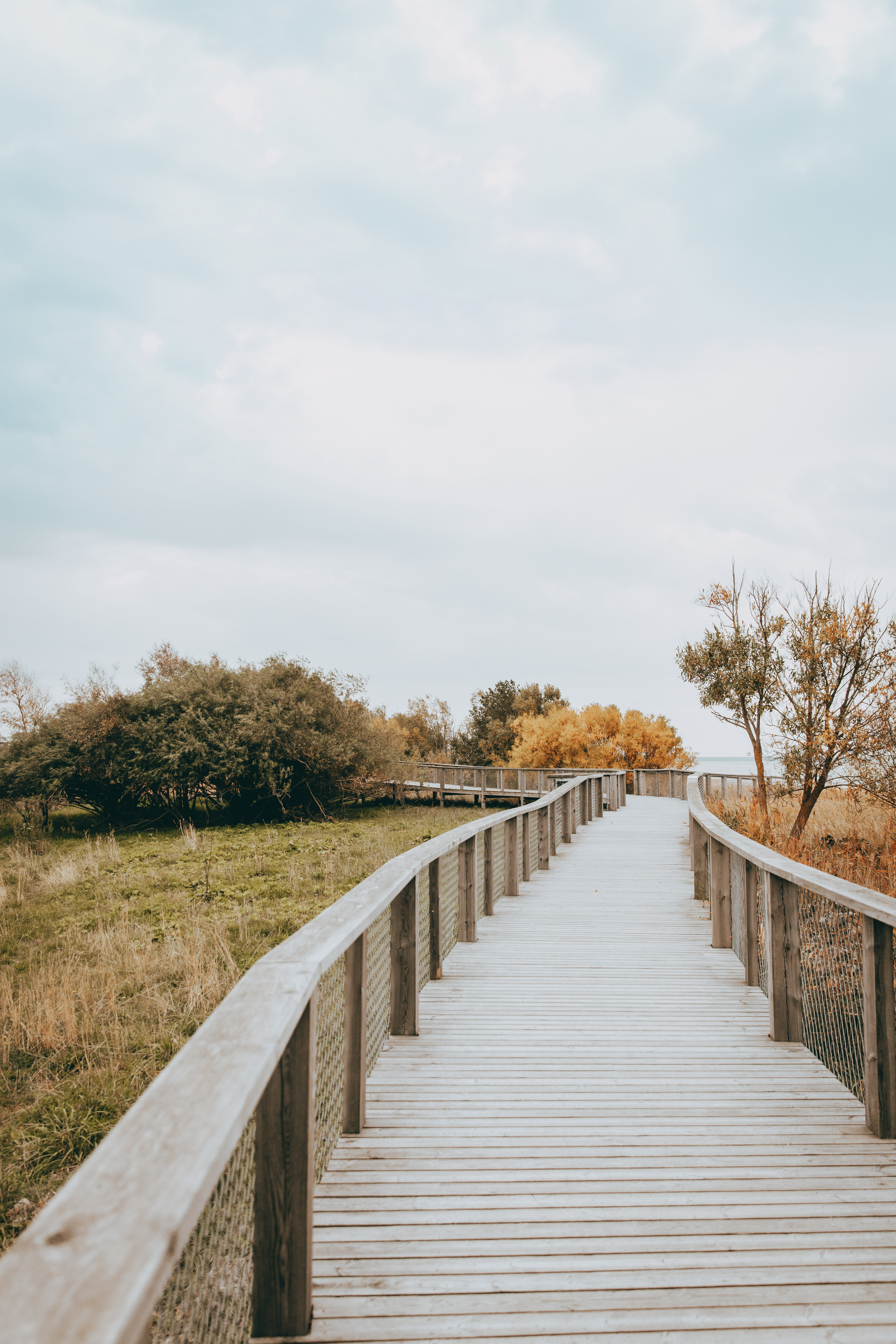 Pärnu coastal nature trail boardwalk in autumn