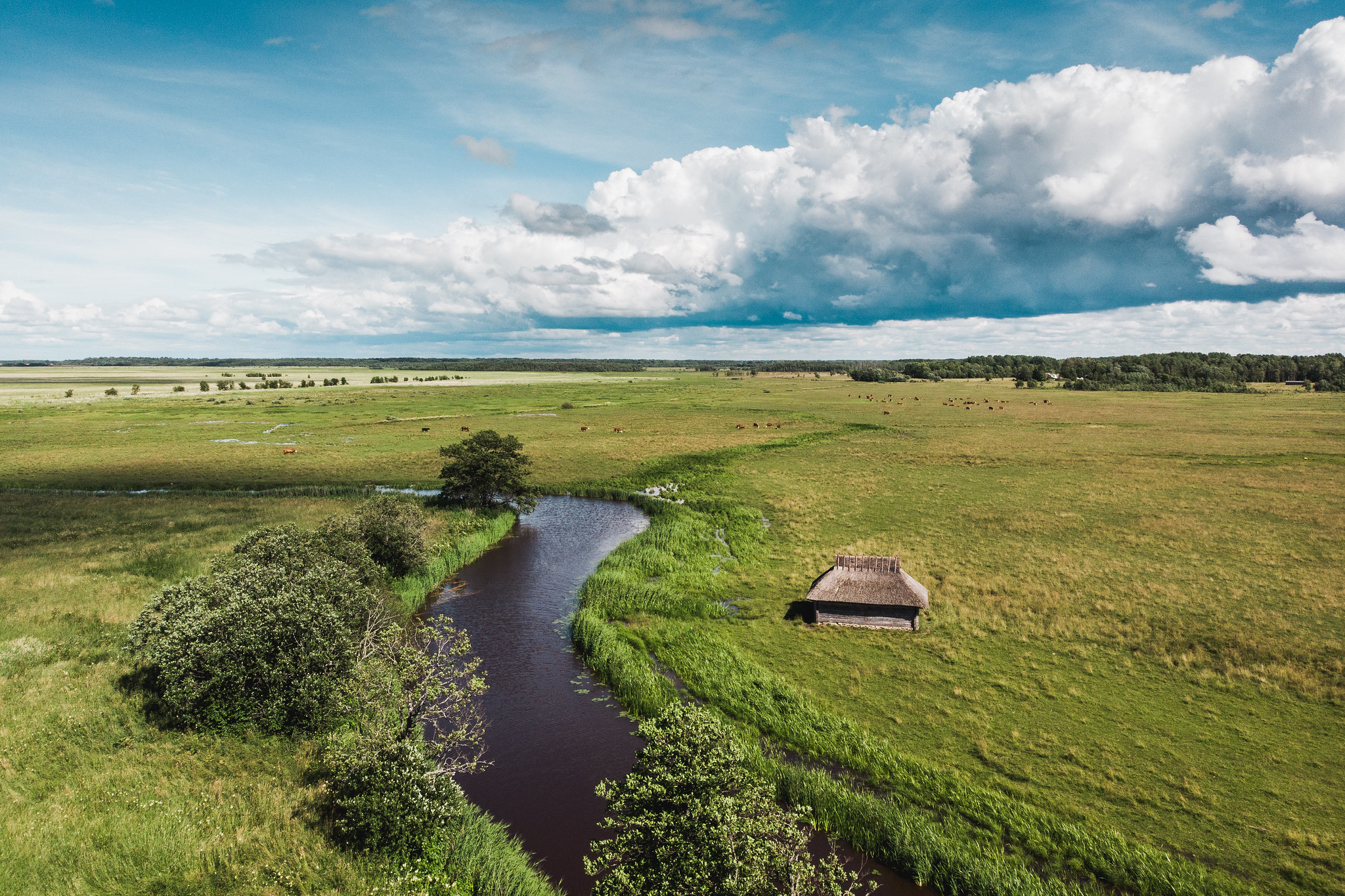 Thatched hut on the bank of a river in Matsalu National Park