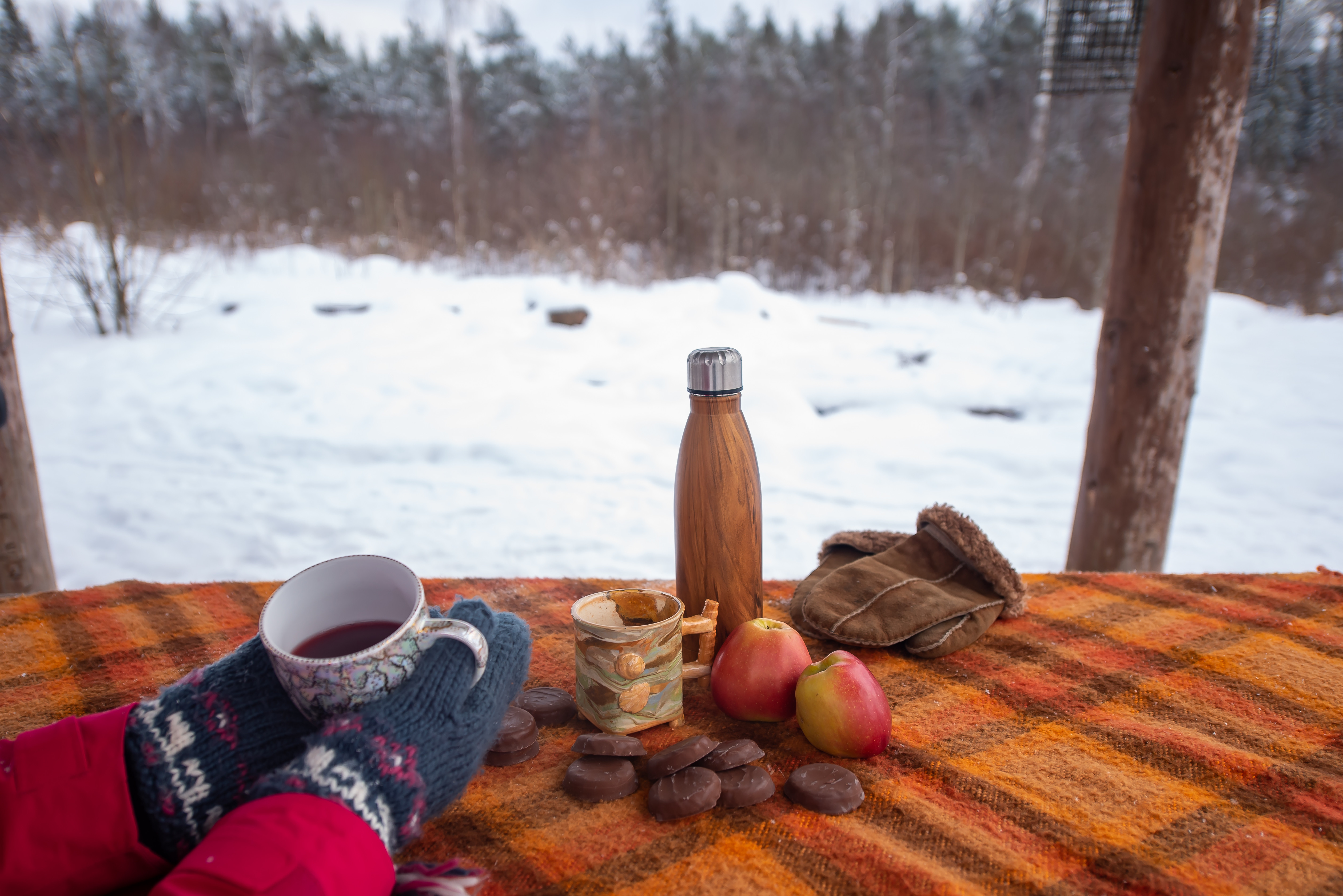 After-hike snack with hot tea, apples, and cookies