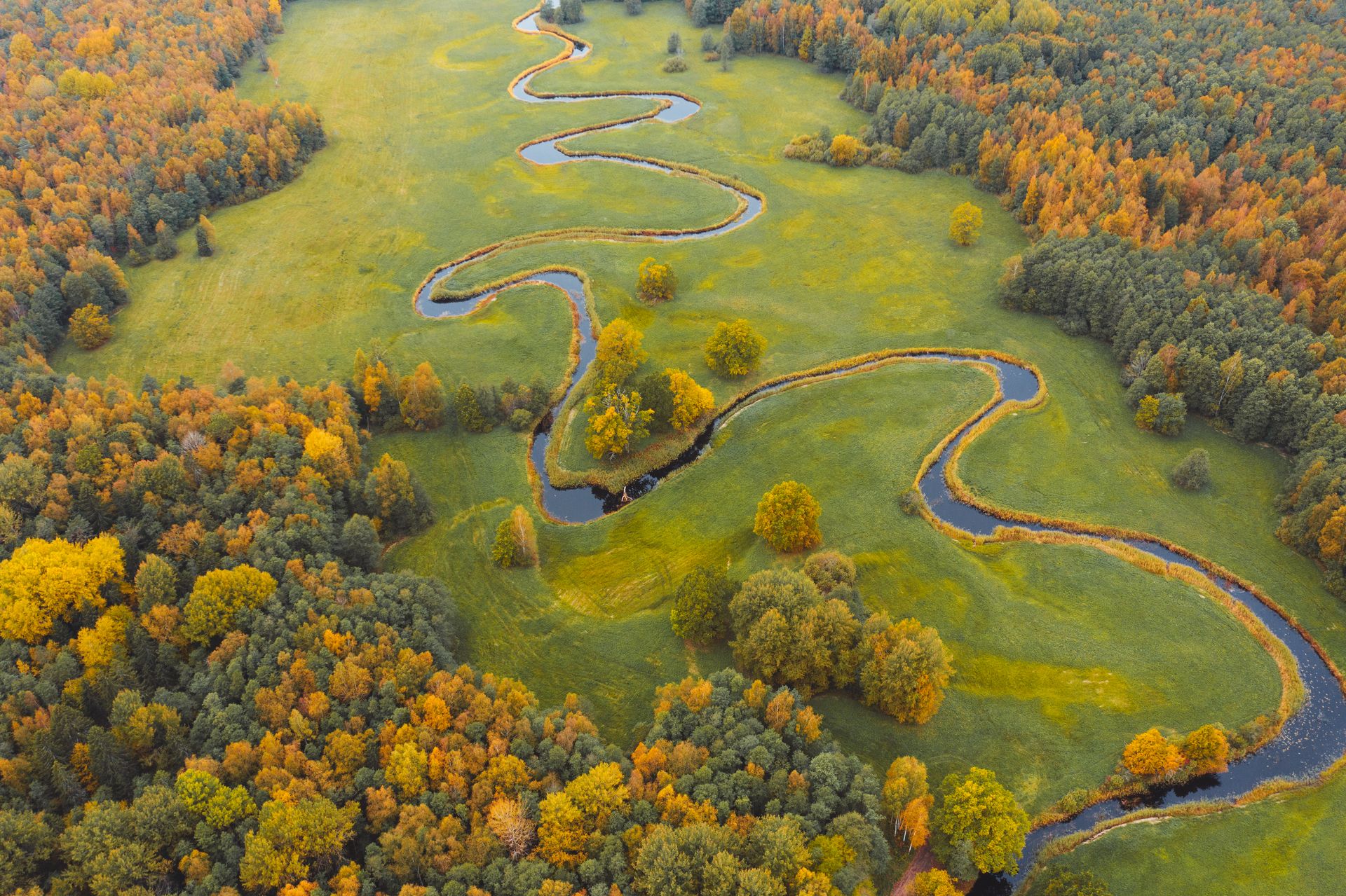 Es wird Herbst im Soomaa Nationalpark