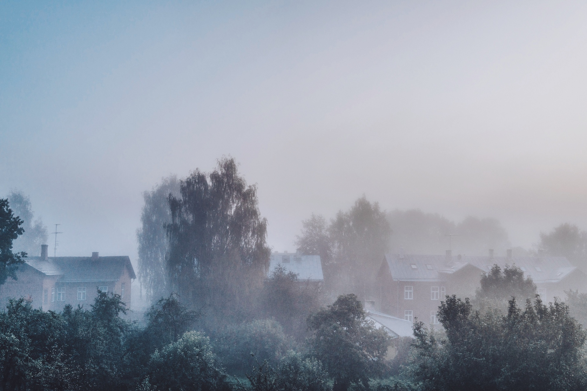 Herbstnebel in Estland