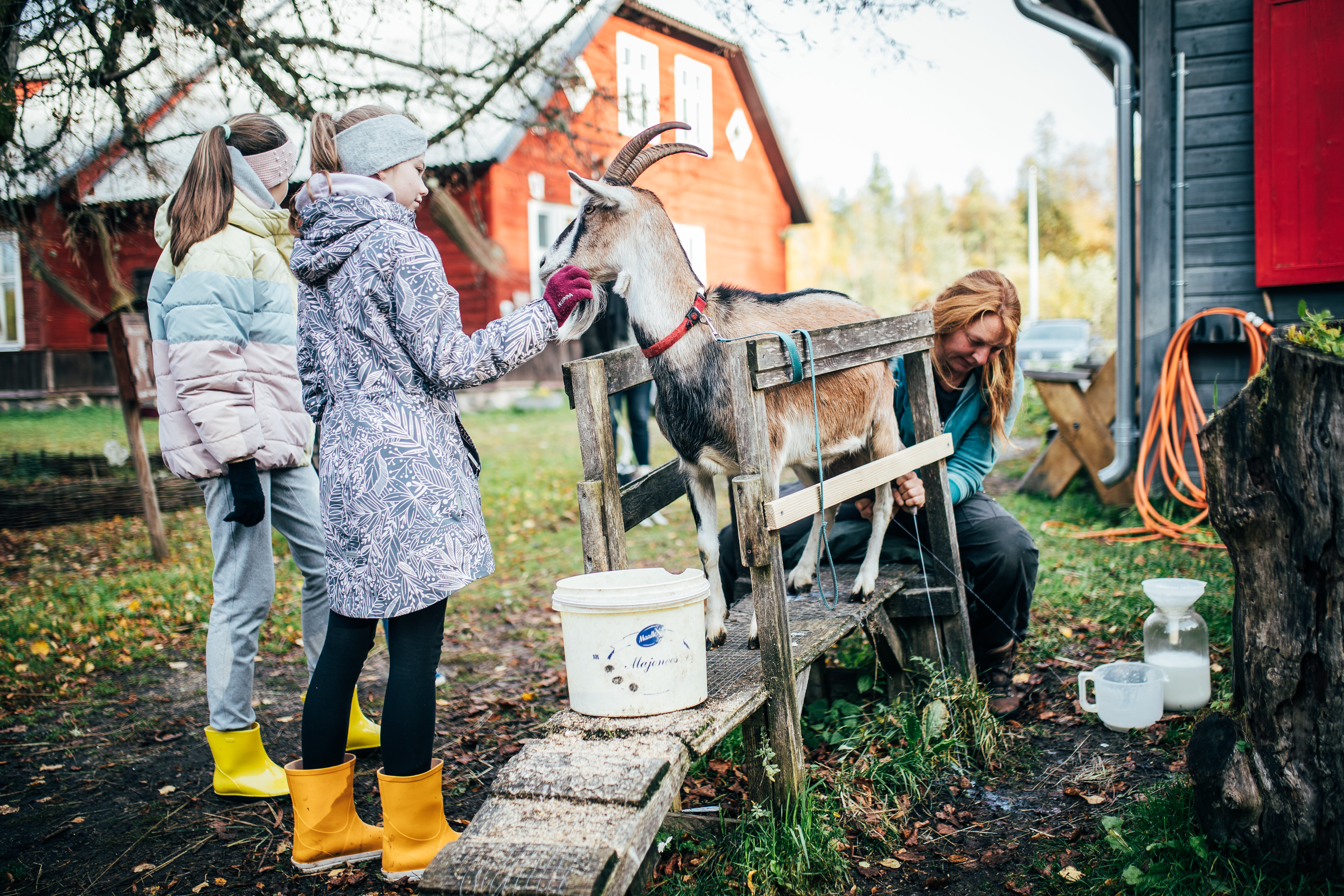 Kinder lernen das Leben auf dem Bauernhof in Estland kennen