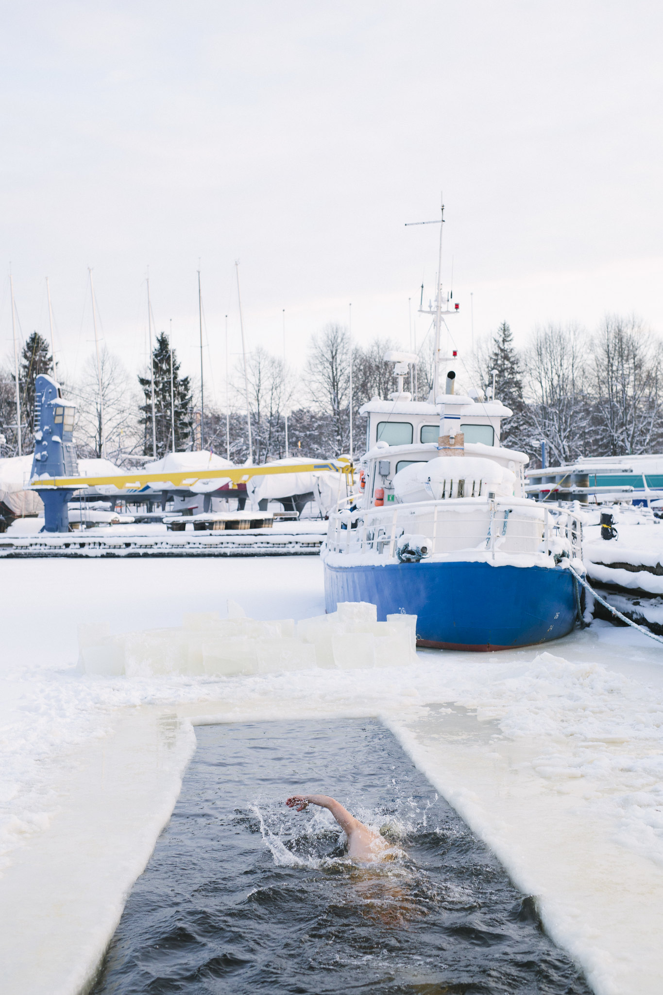 Swimmer in frozen harbor with boats in the background