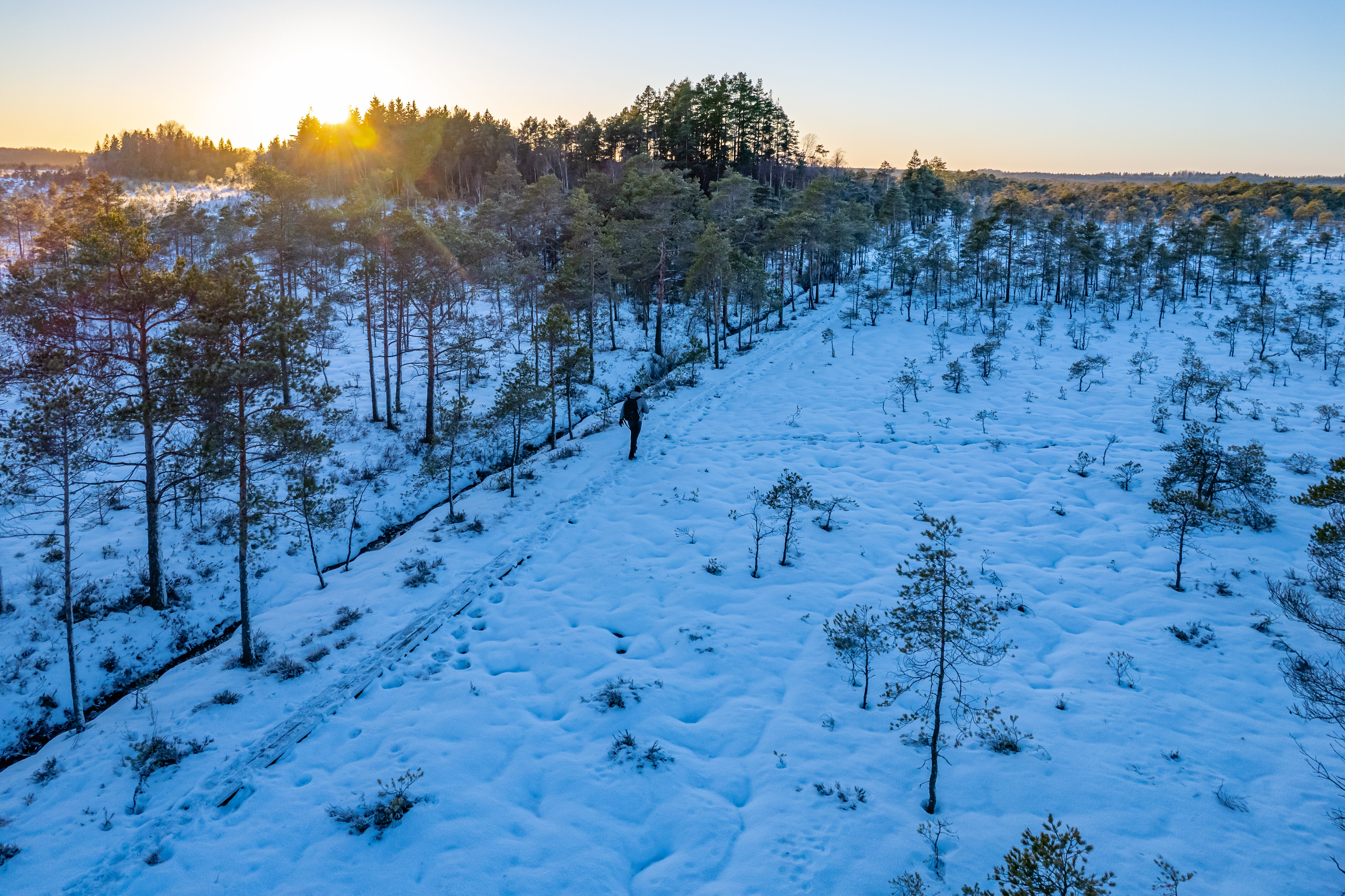 Bog hiking during winter in Central Estonia