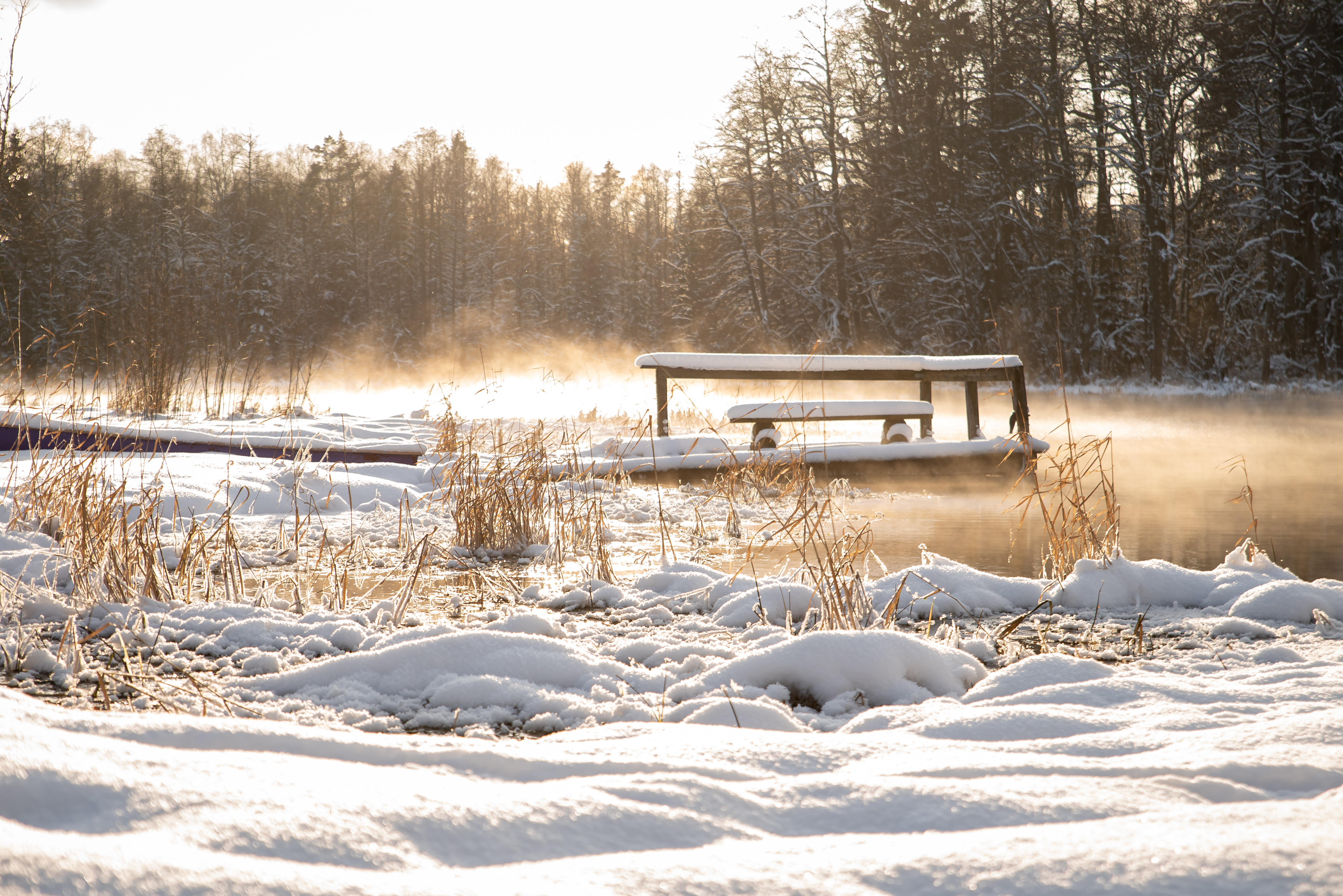 Mist rising from water at Prandi Springs in winter