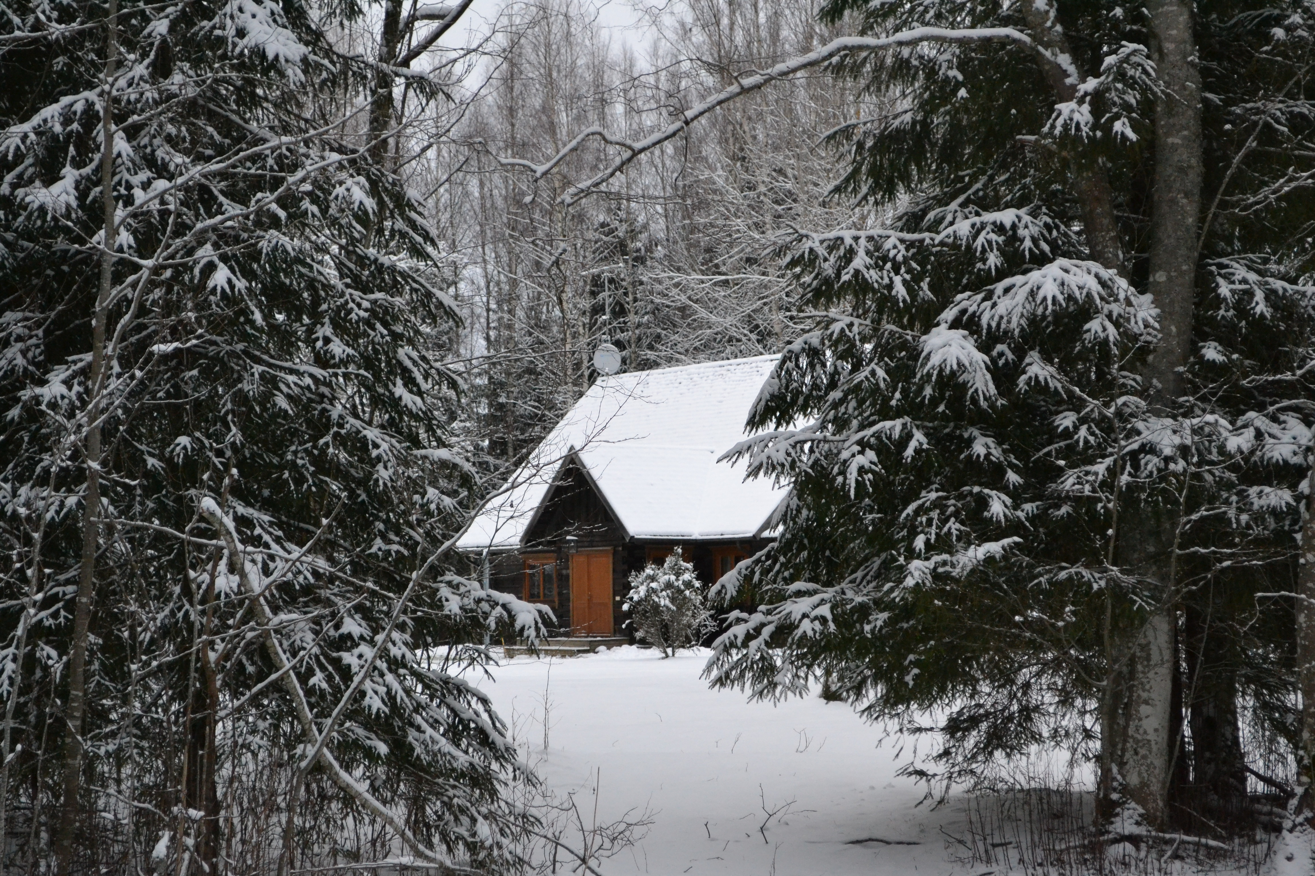 Cabin at Toosikannu in Central Estonia during winter