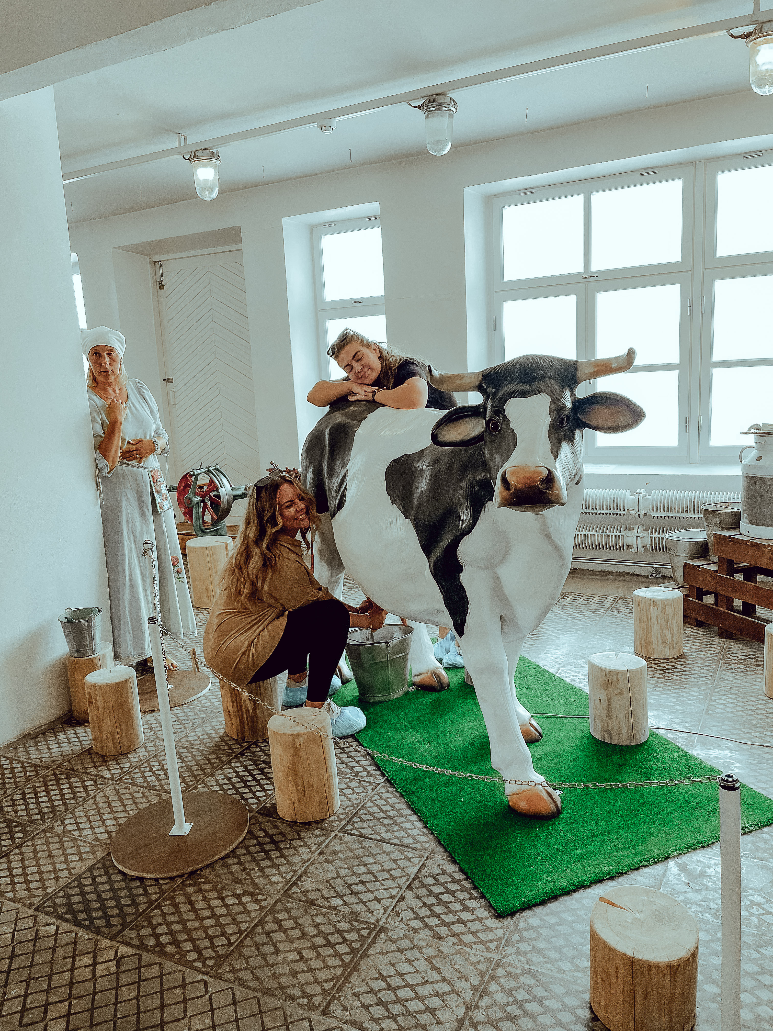 Women pretend to milk cow at dairy museum in Estonia