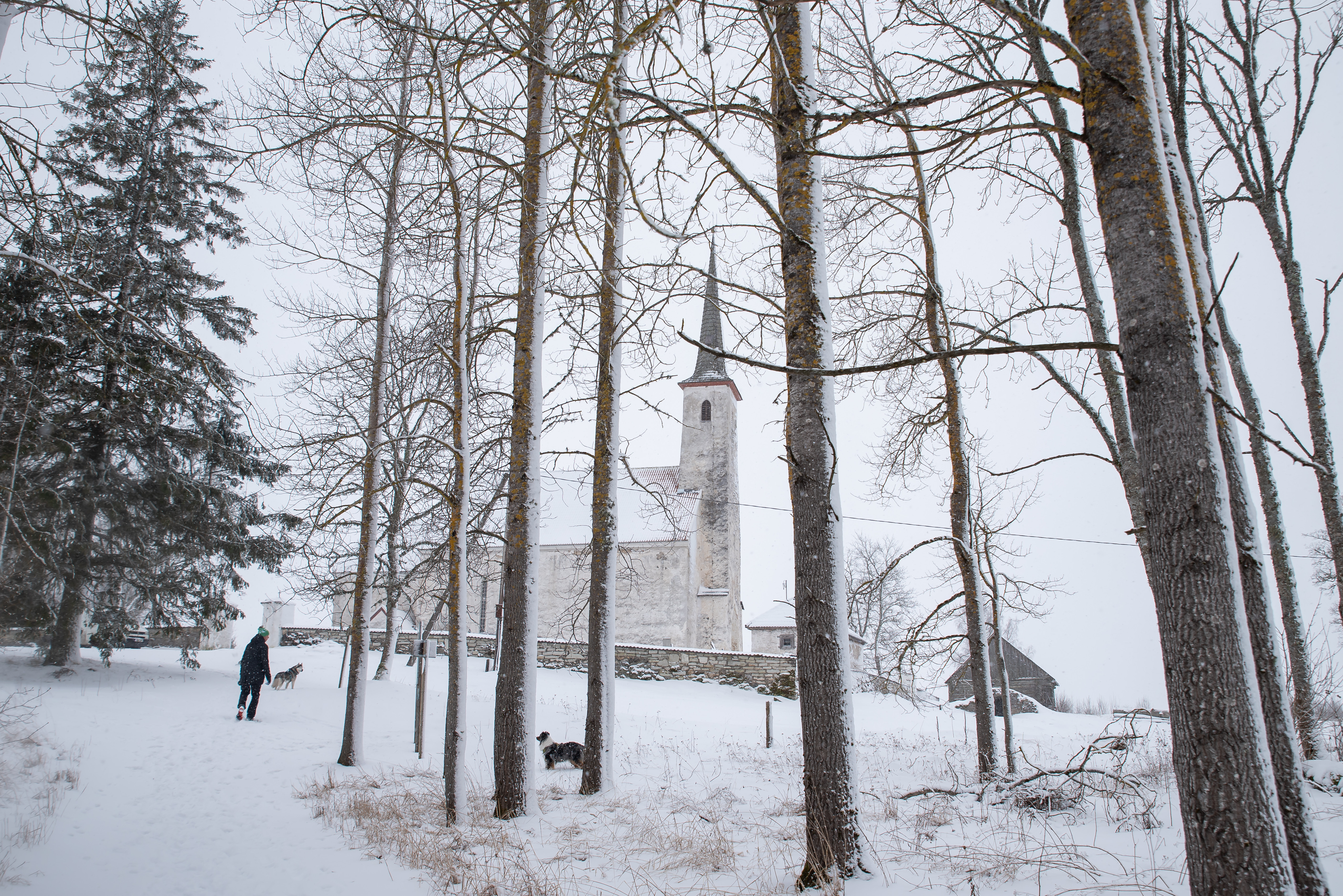 Järva-Madise church in Central Estonia in winter