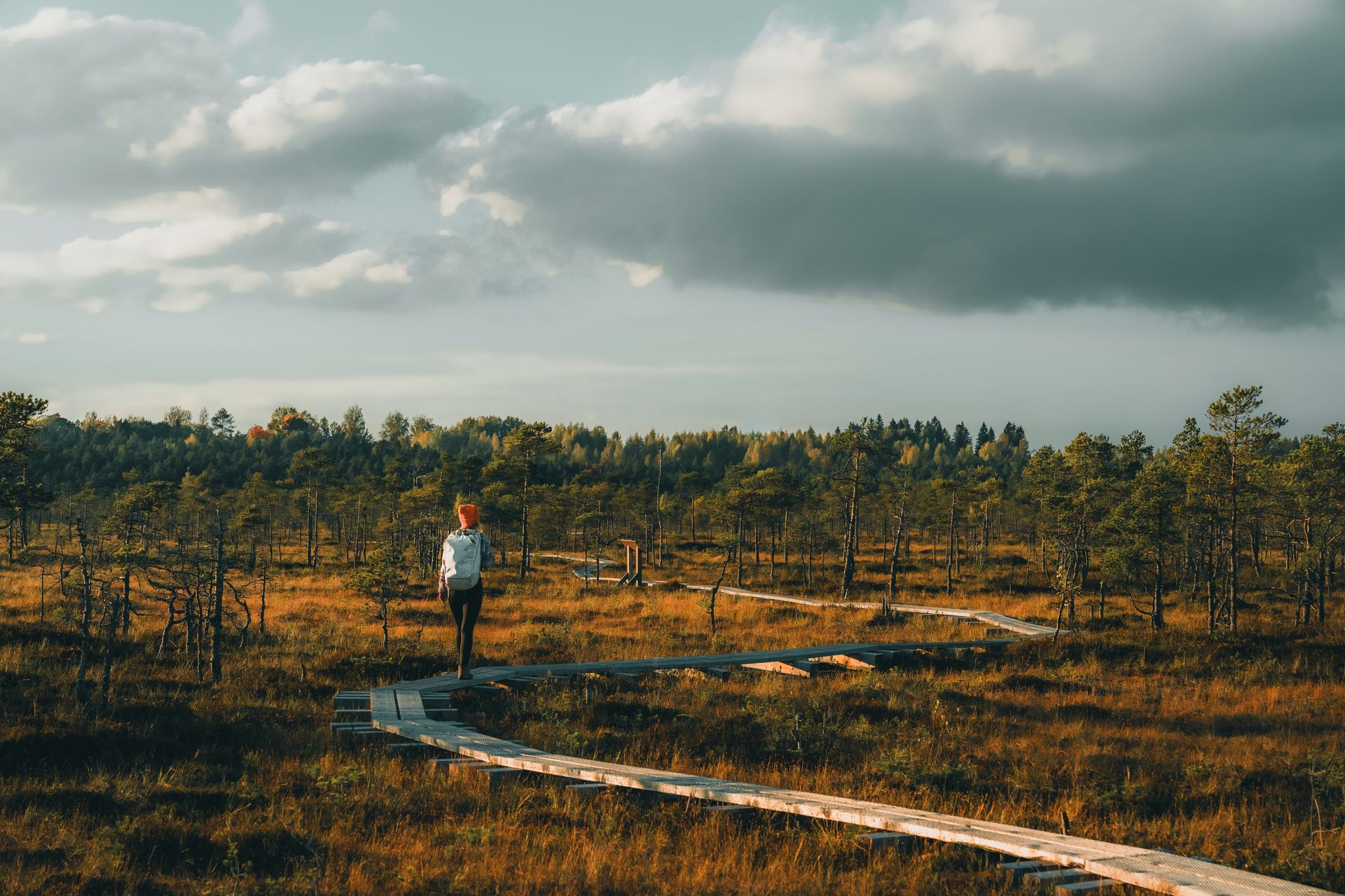 Girl walking in bog trails