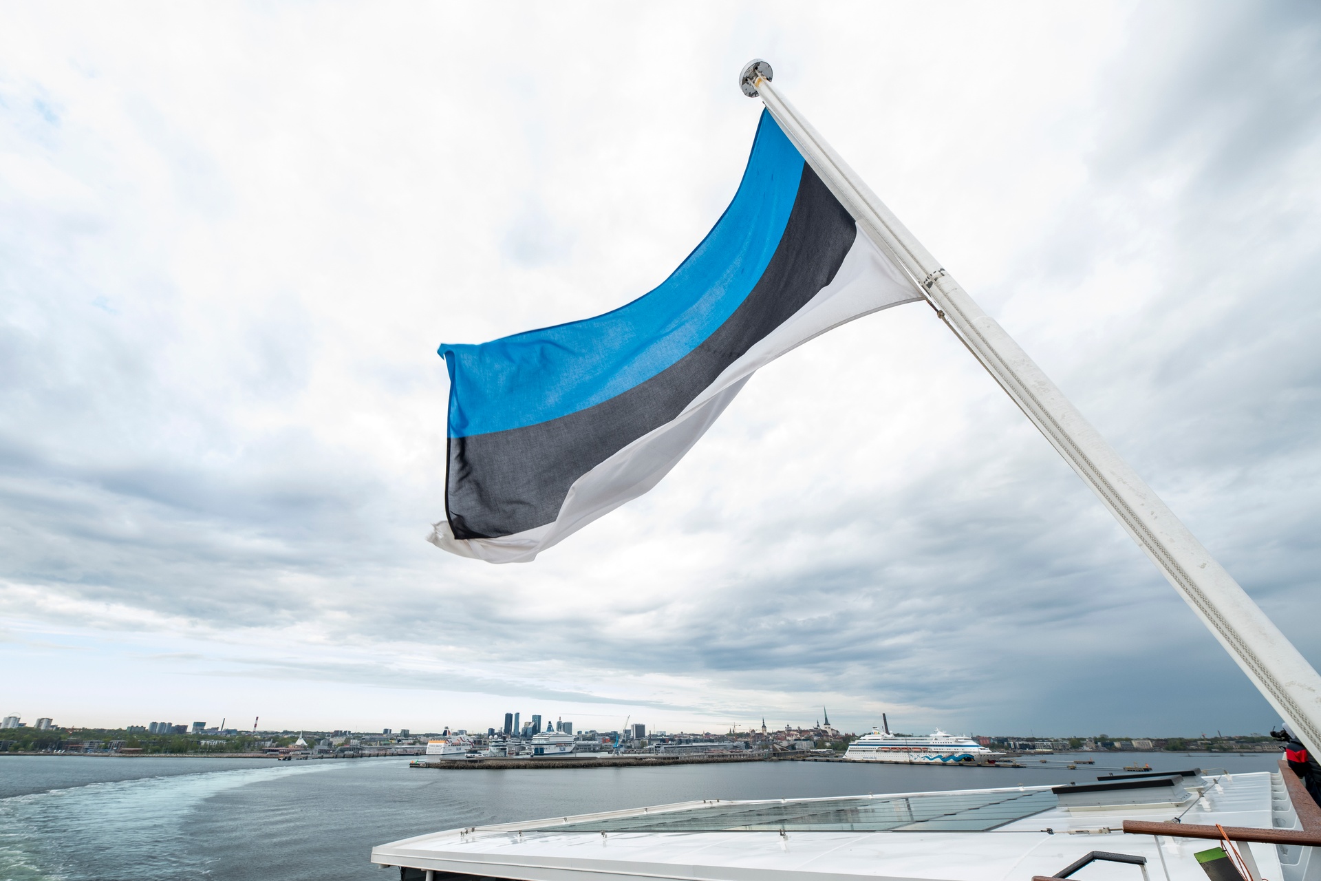 estonian flag