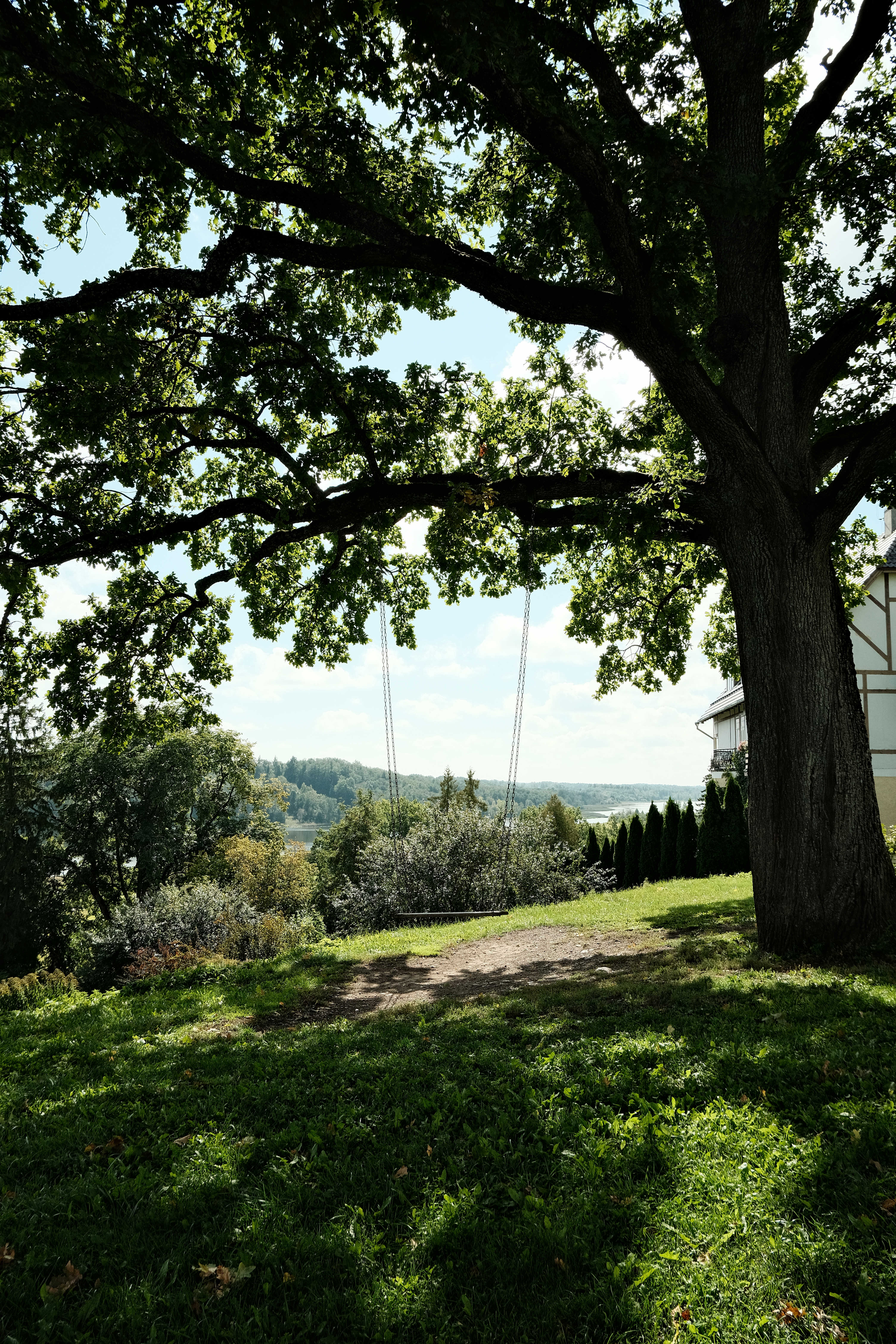 Eiche mit Schaukel in Viljandi