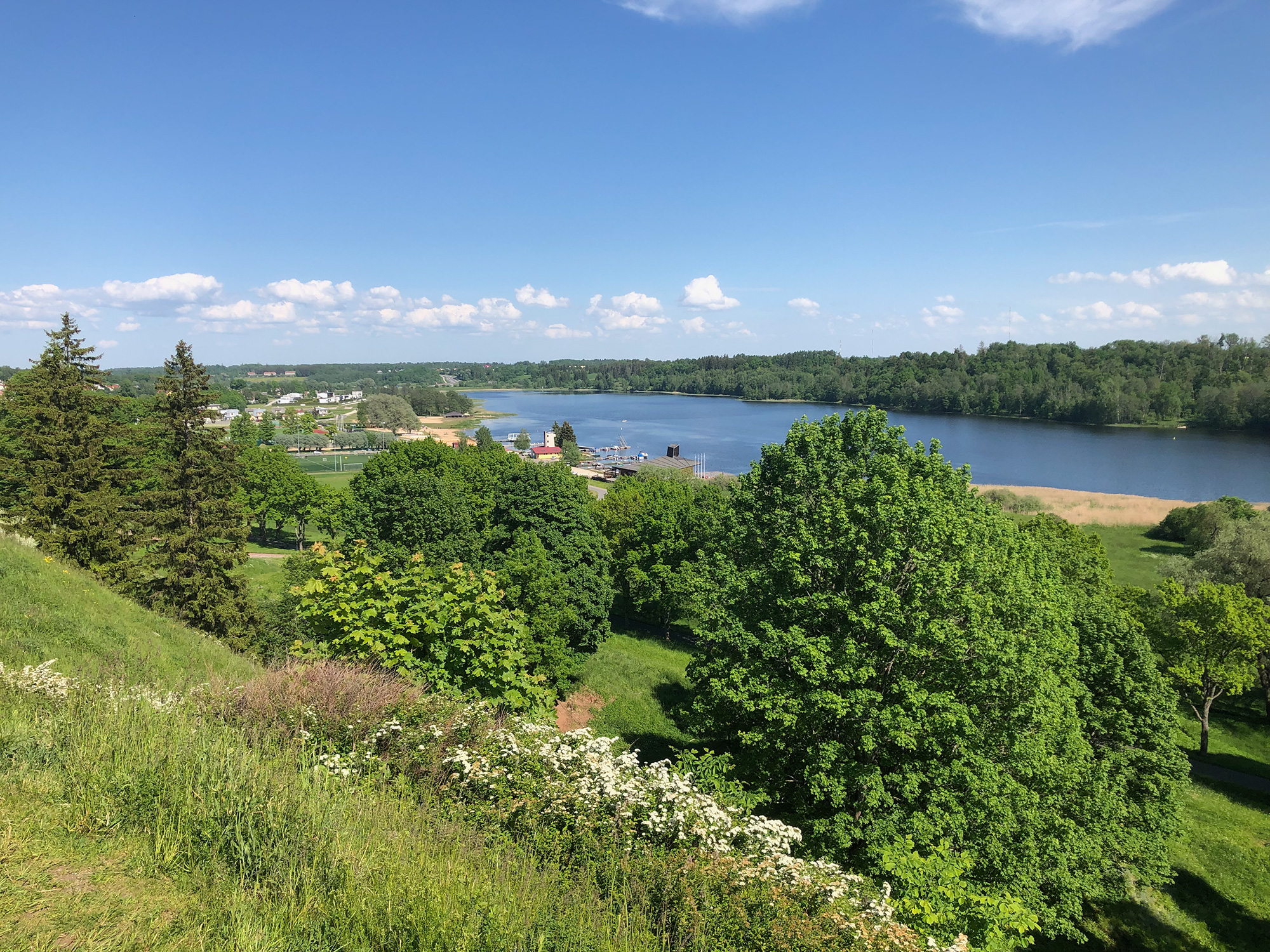 Der See Viljandi