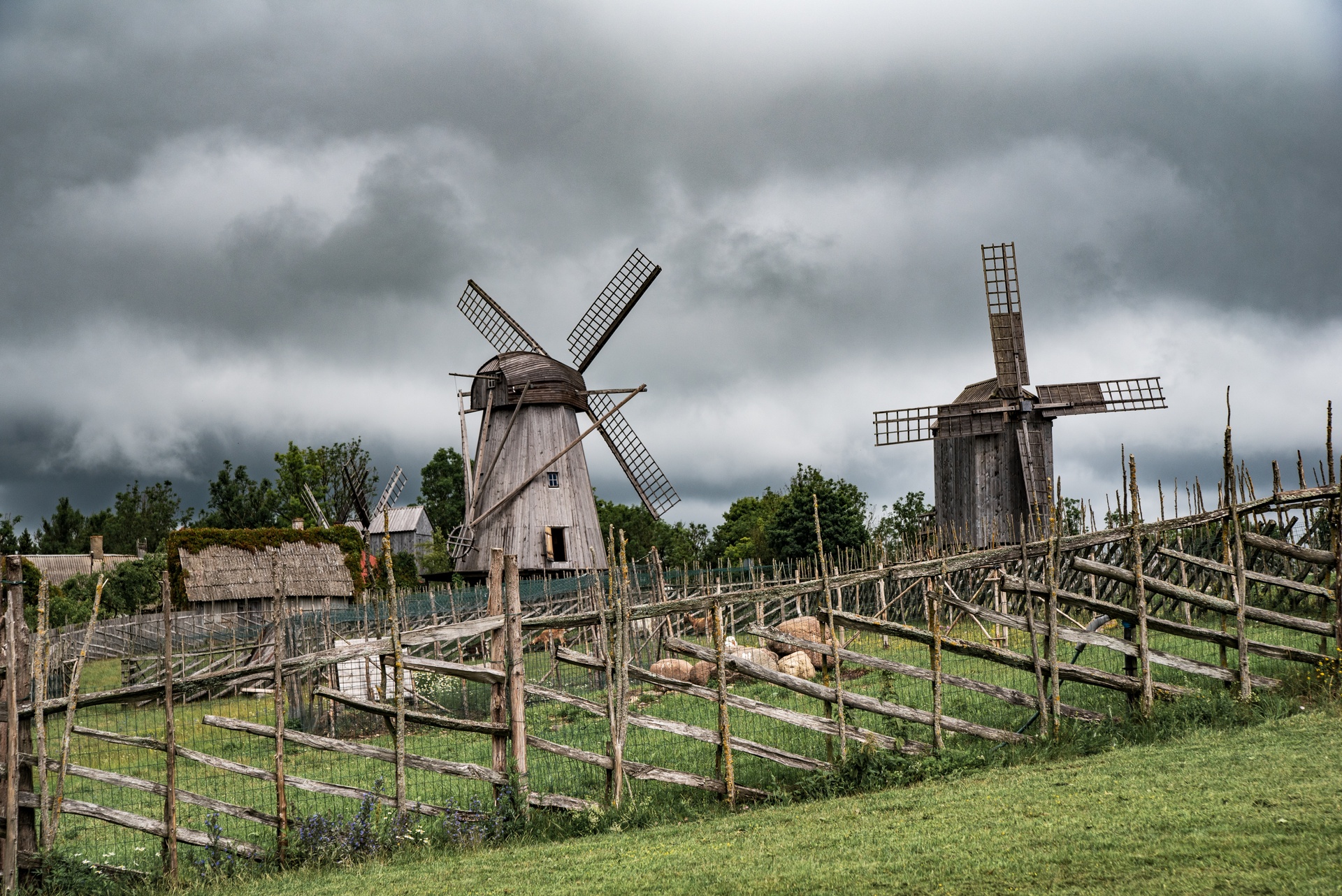 Saaremaa, Angla Windmills